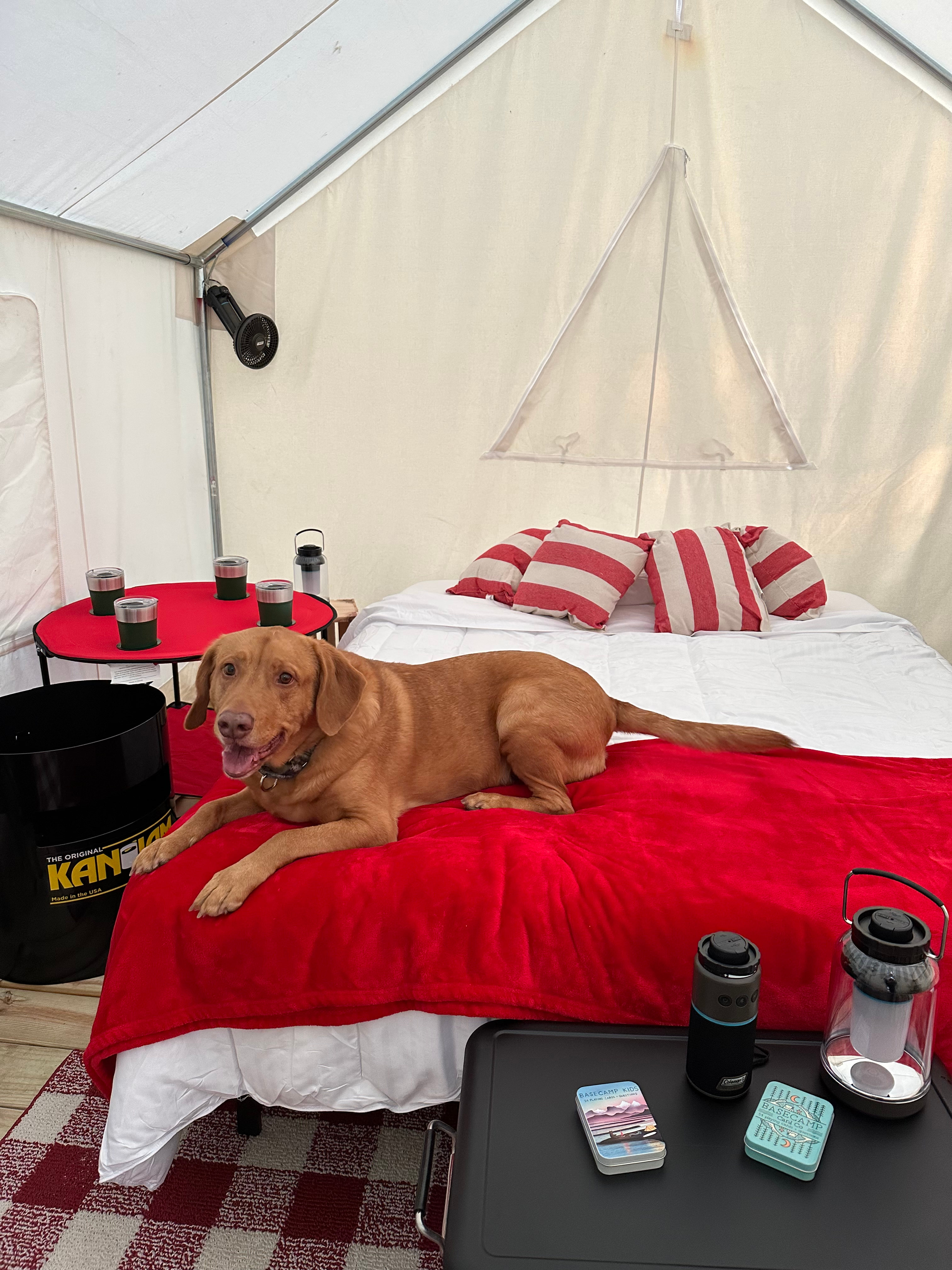 Strawberry Hill Camps