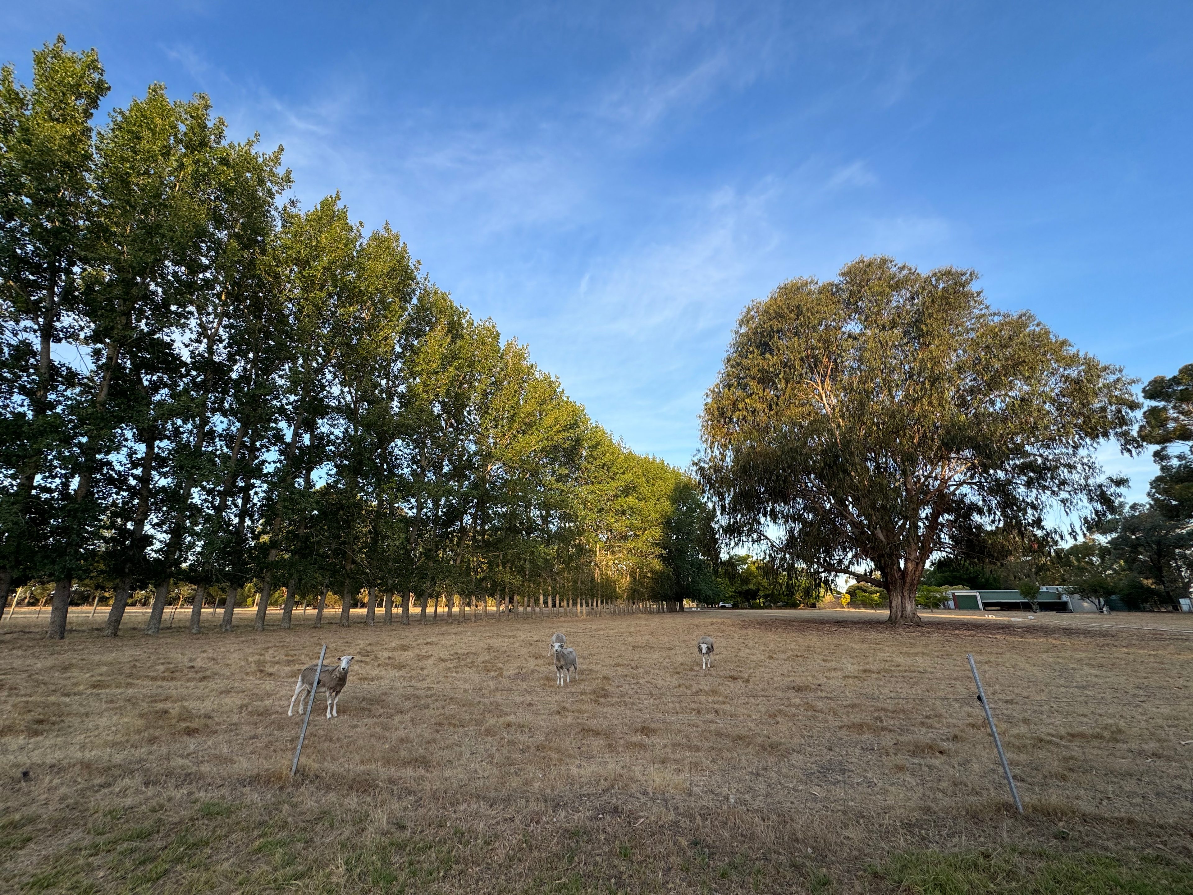 Kookaburra Farm