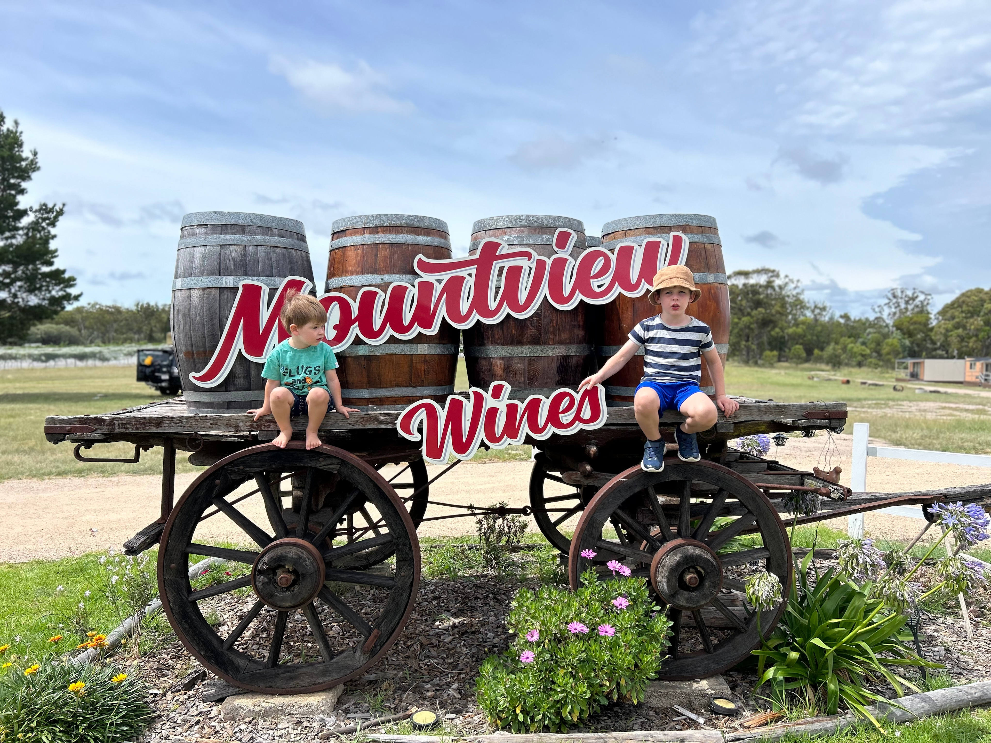 Mountview Wines Camping and Cabins