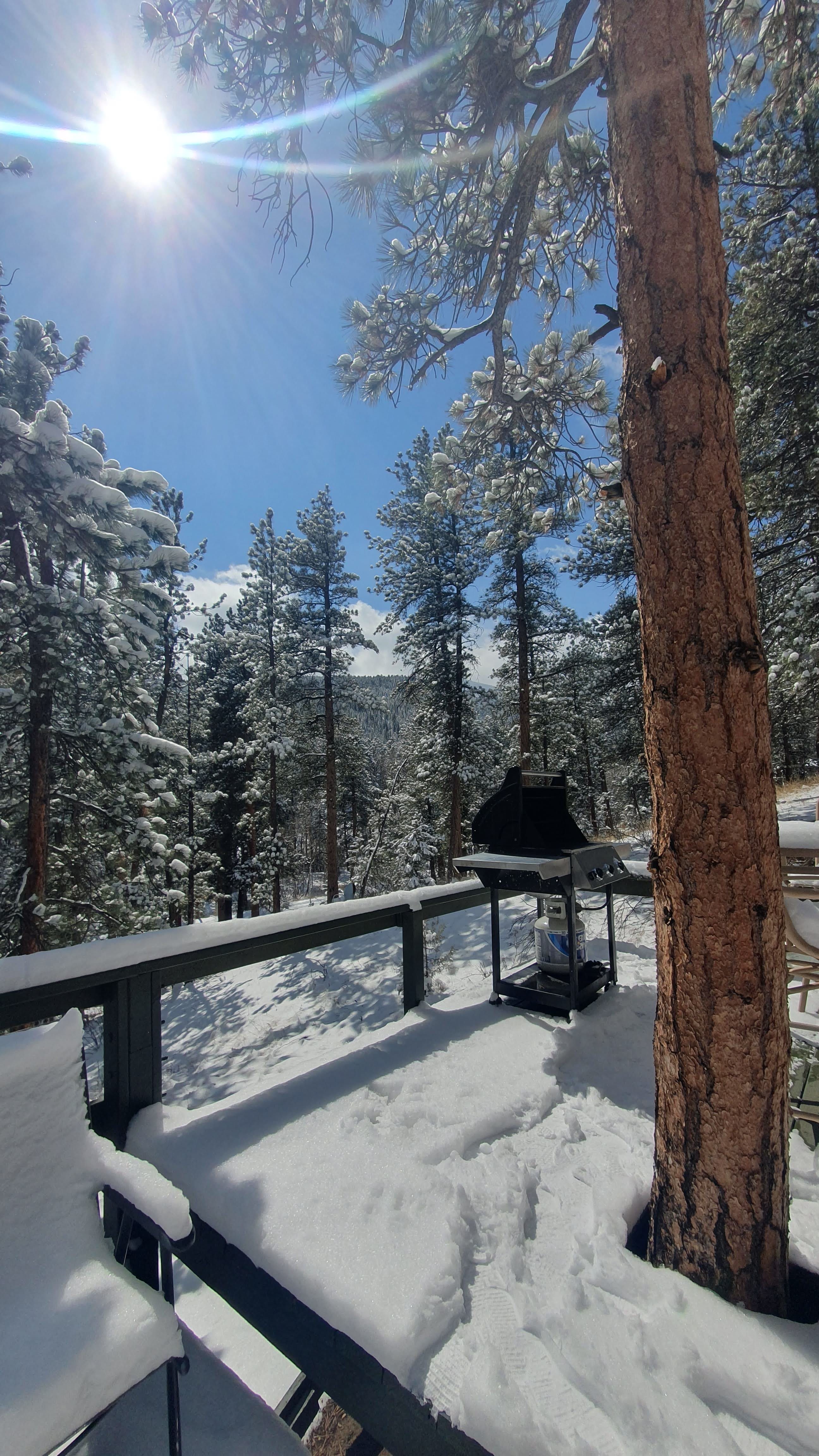 The Fisherman's Cabin