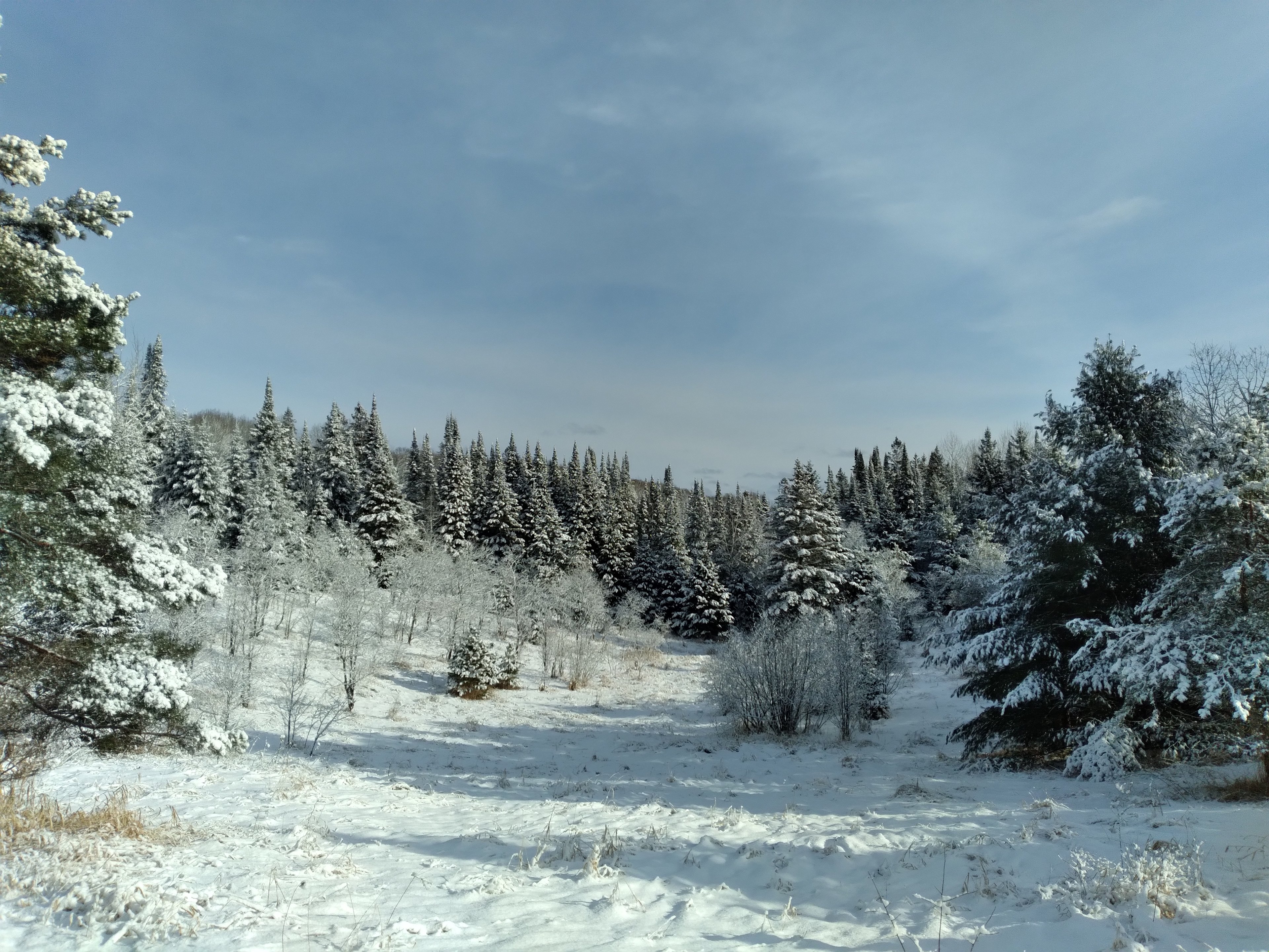 The toboggan hill just after a first snowfall