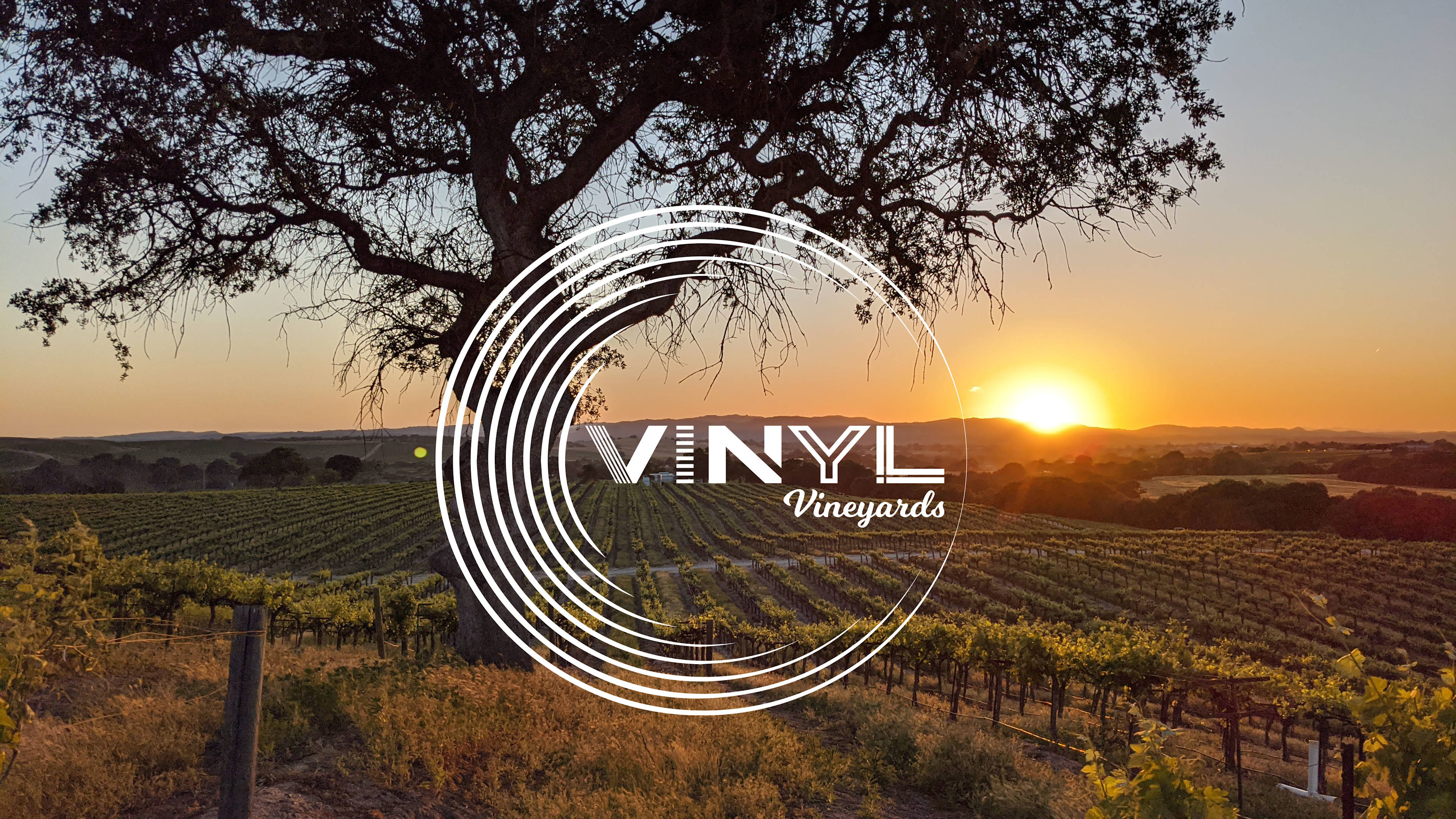 Vinyl Vineyards Glampground