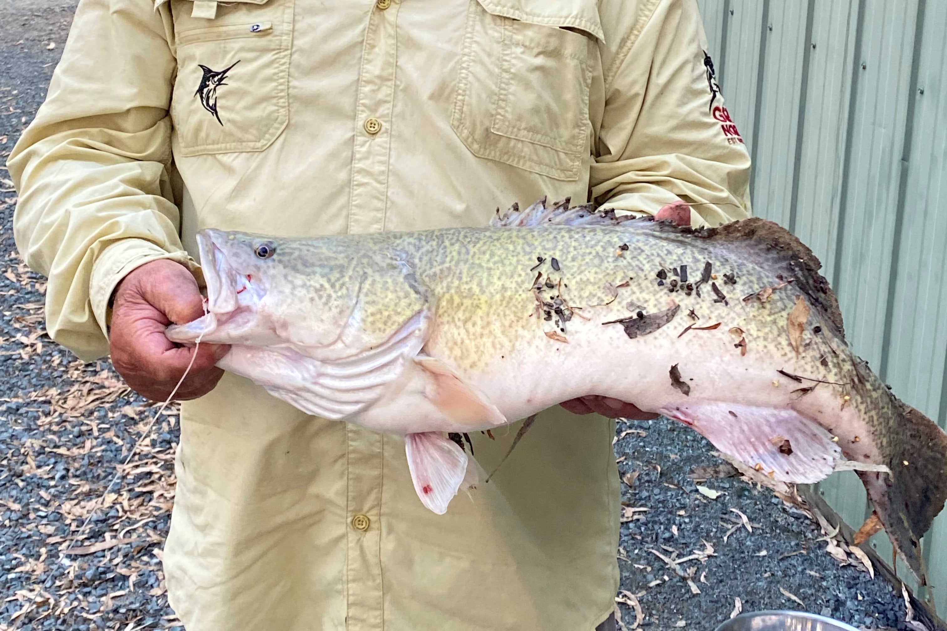 Christmas 2023 catch and release
