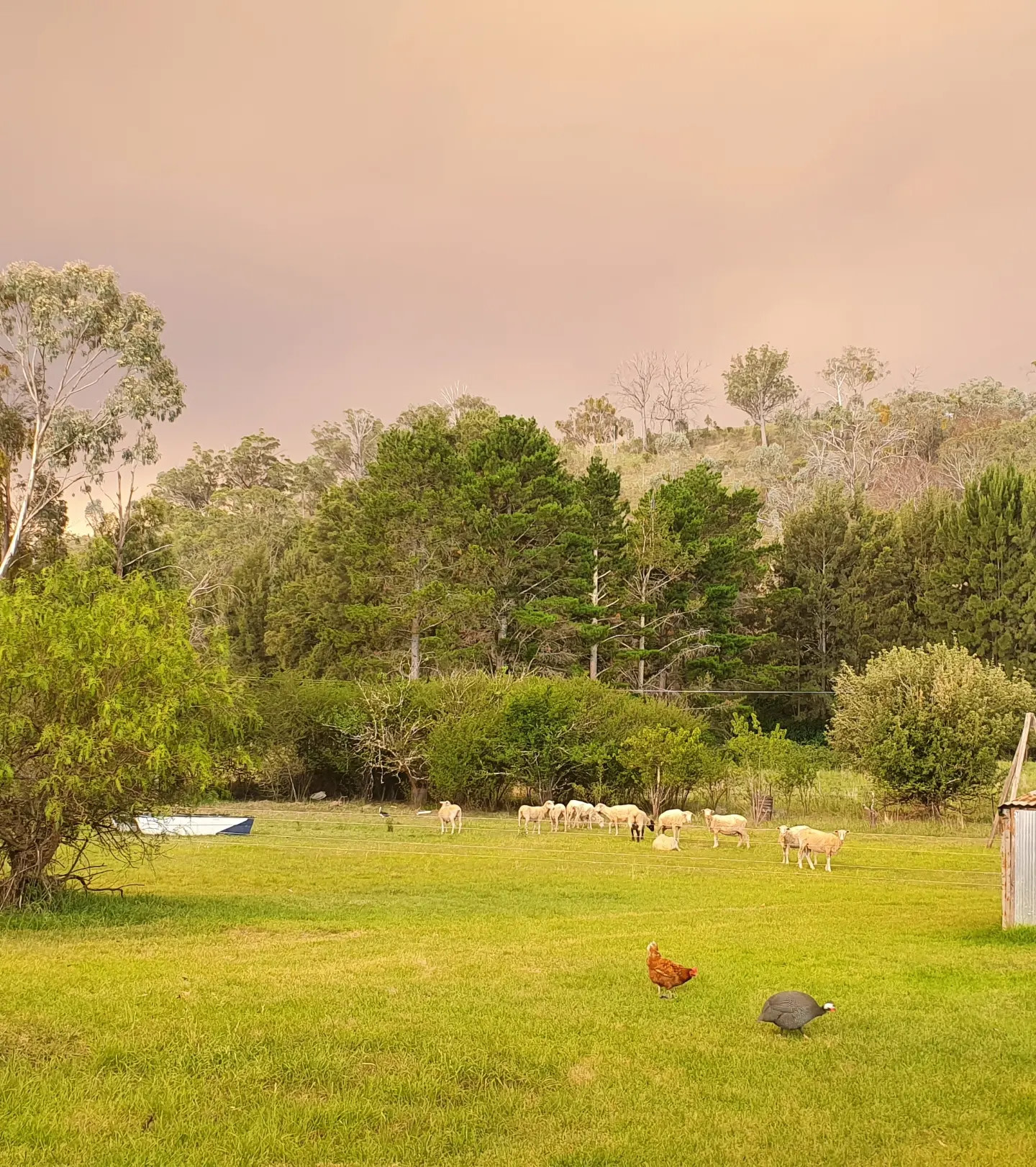 The large Grassy area where you can camp.