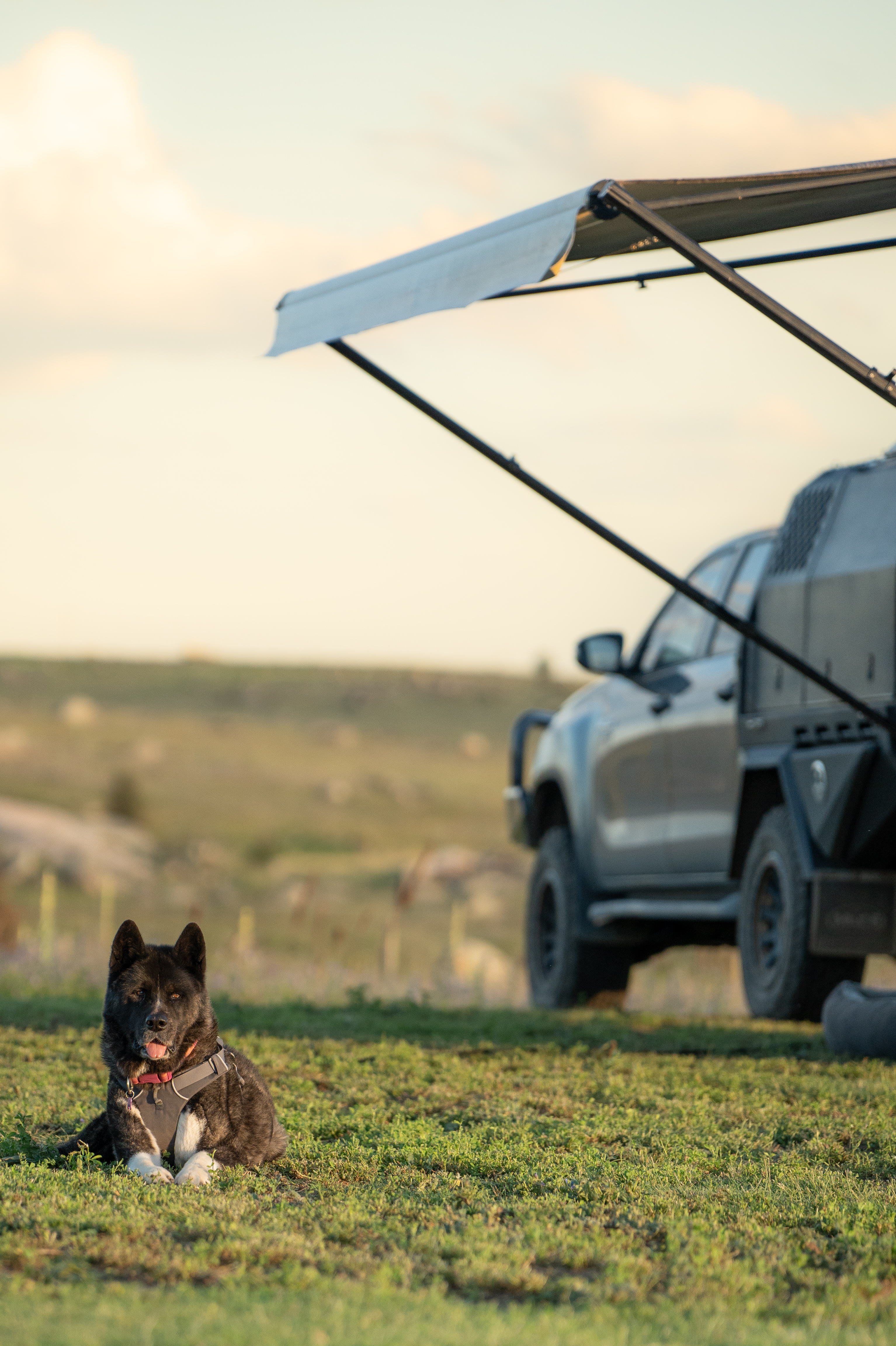 Our dog loved staying at this pet friendly camp