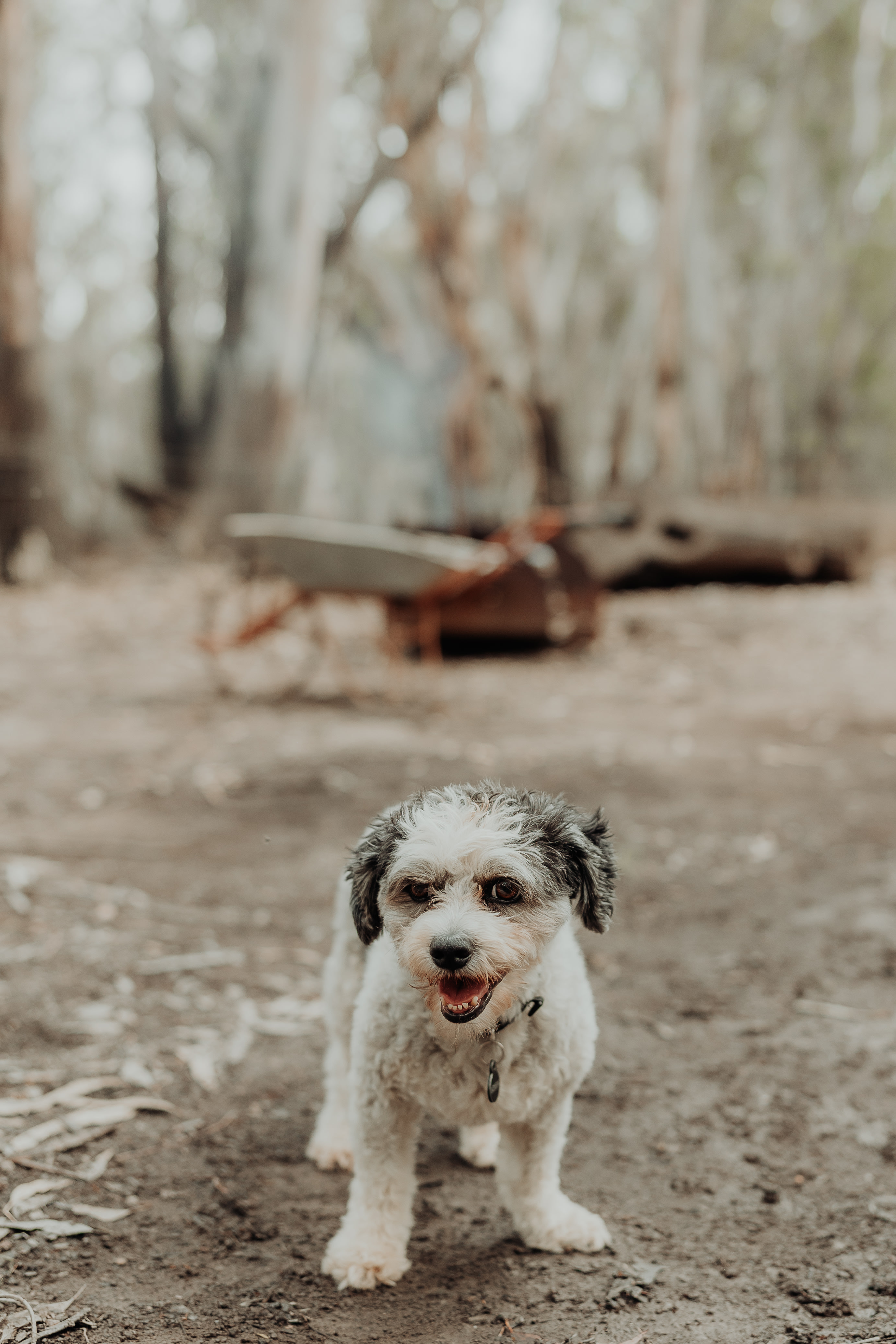 Tooranie Stay Echuca Moama