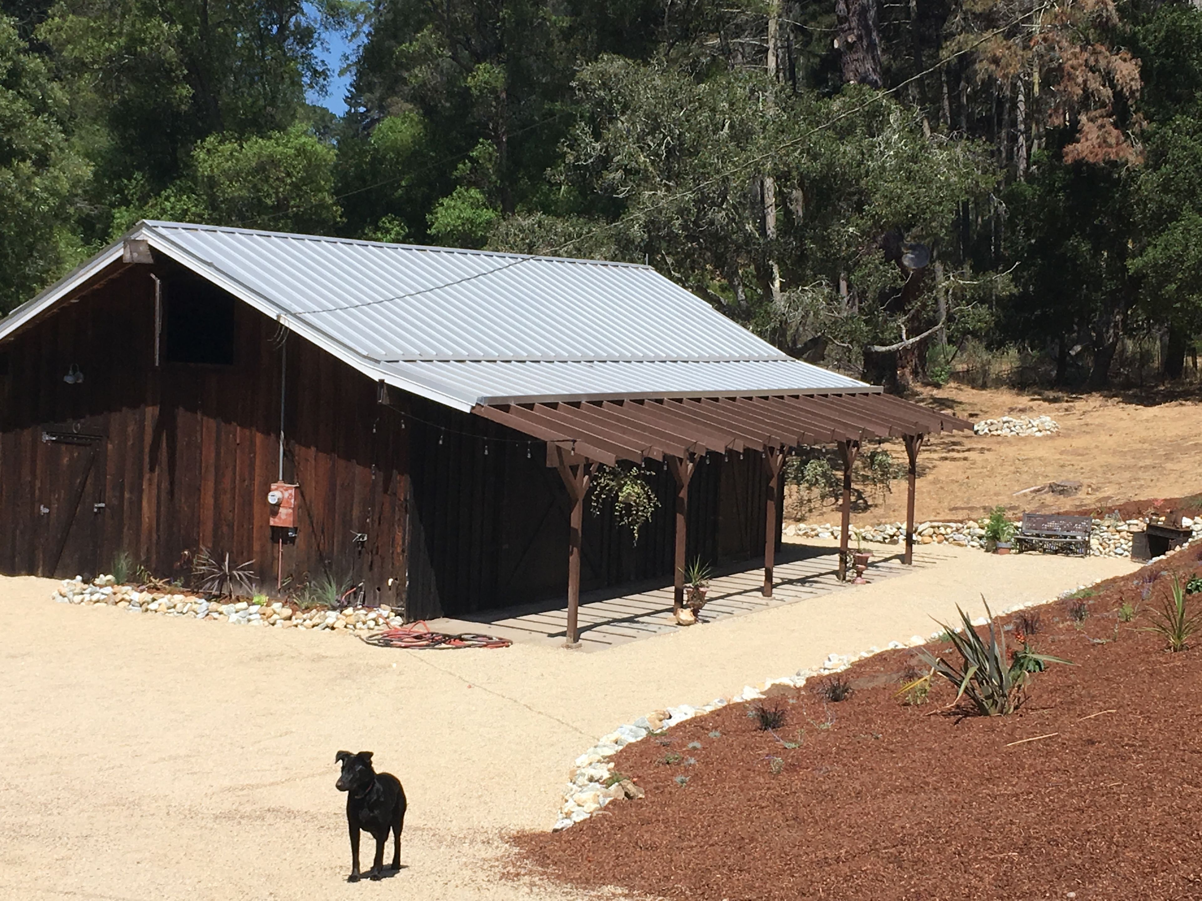Driftwood Van and Tent Camping