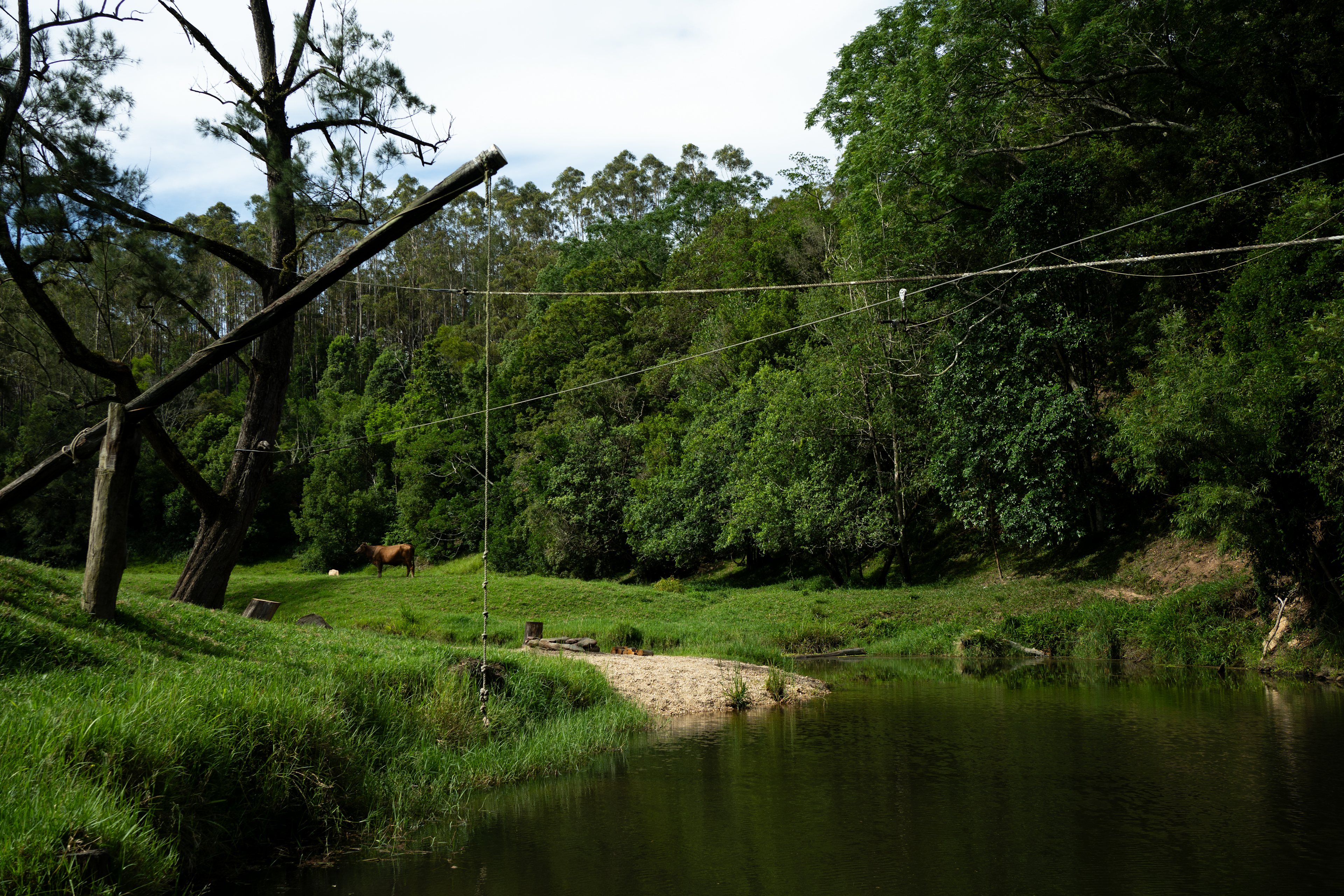 Swings are available.