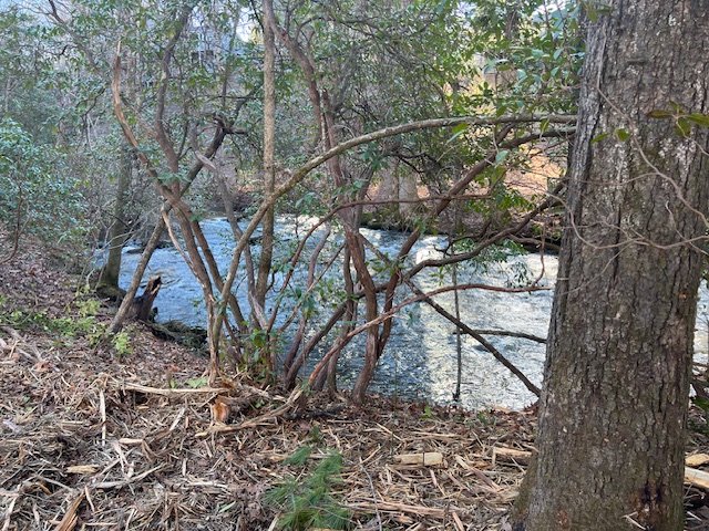 Babbling Brook RV Site