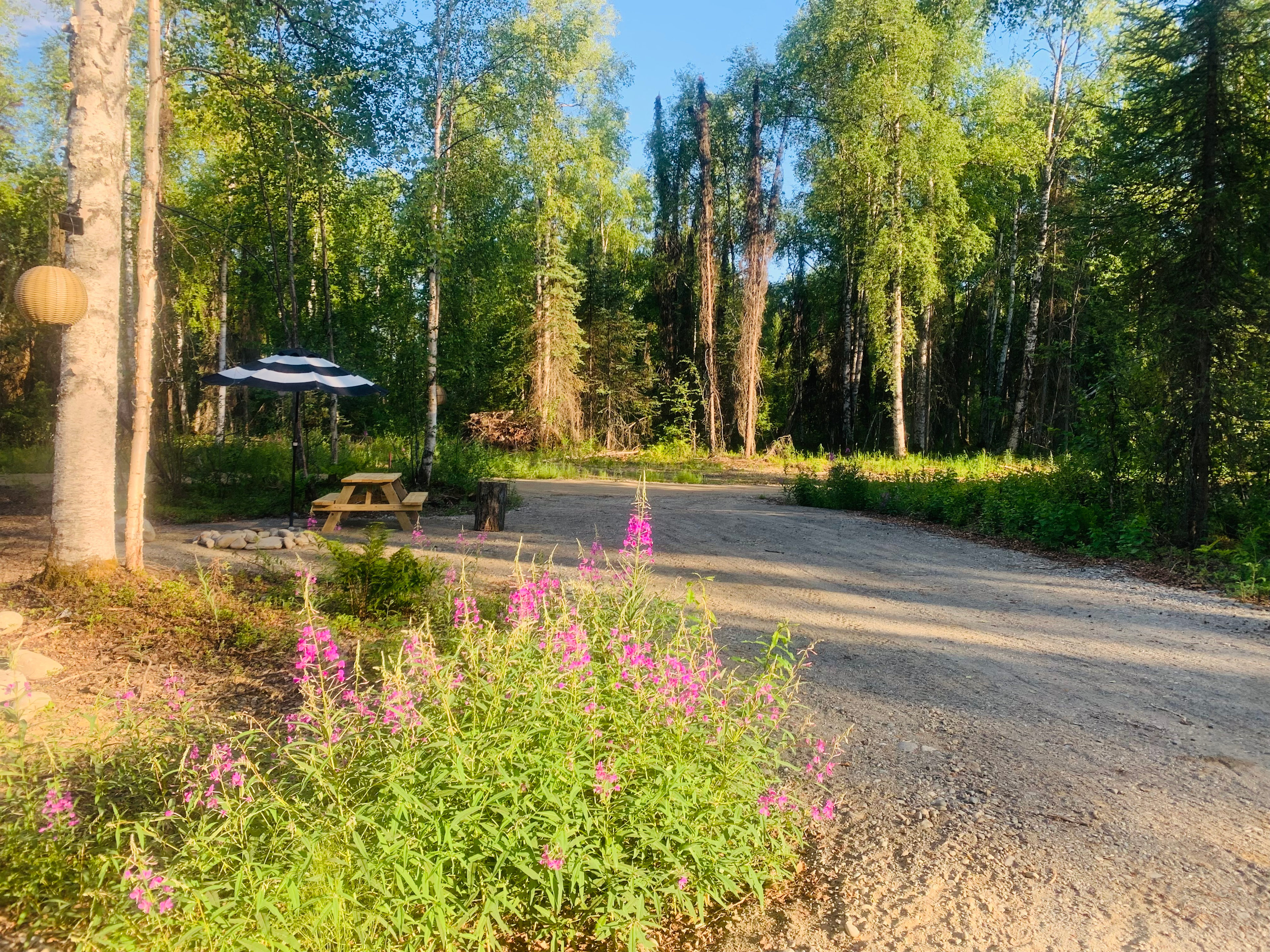 Talkeetna Lake Retreat