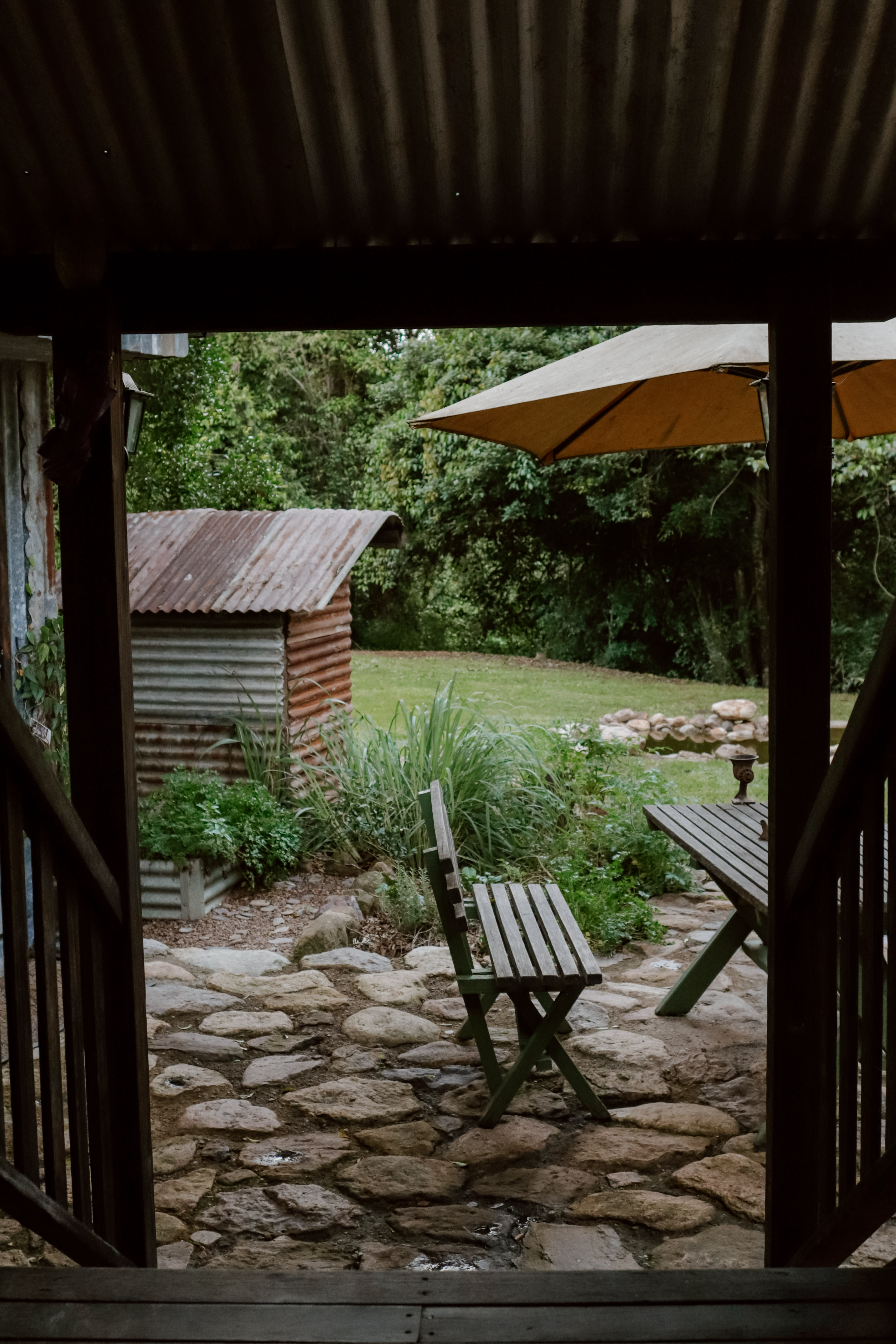 Outdoor area (view from patio) 