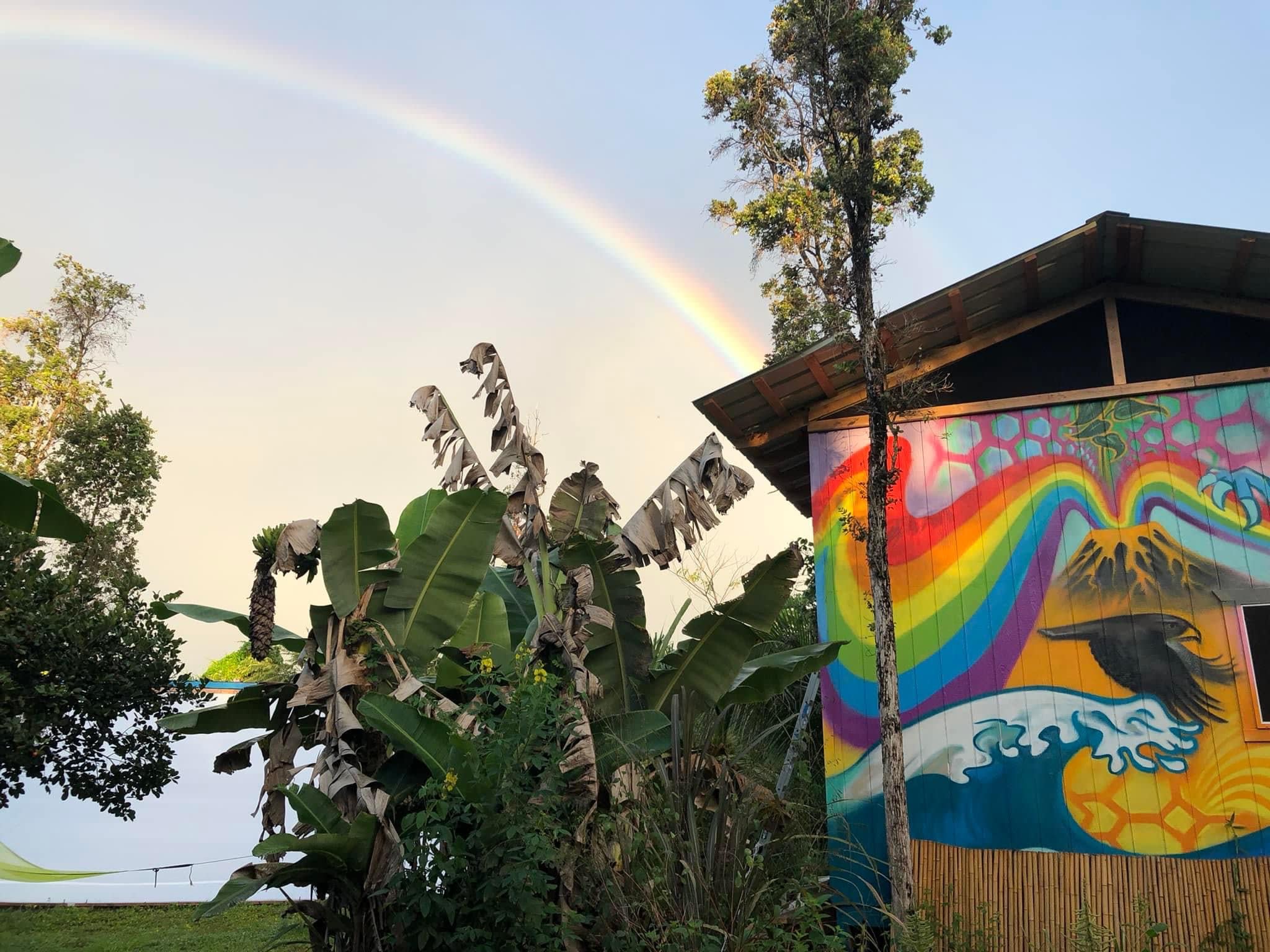 Blue Dragon Hot Yoga Homestead