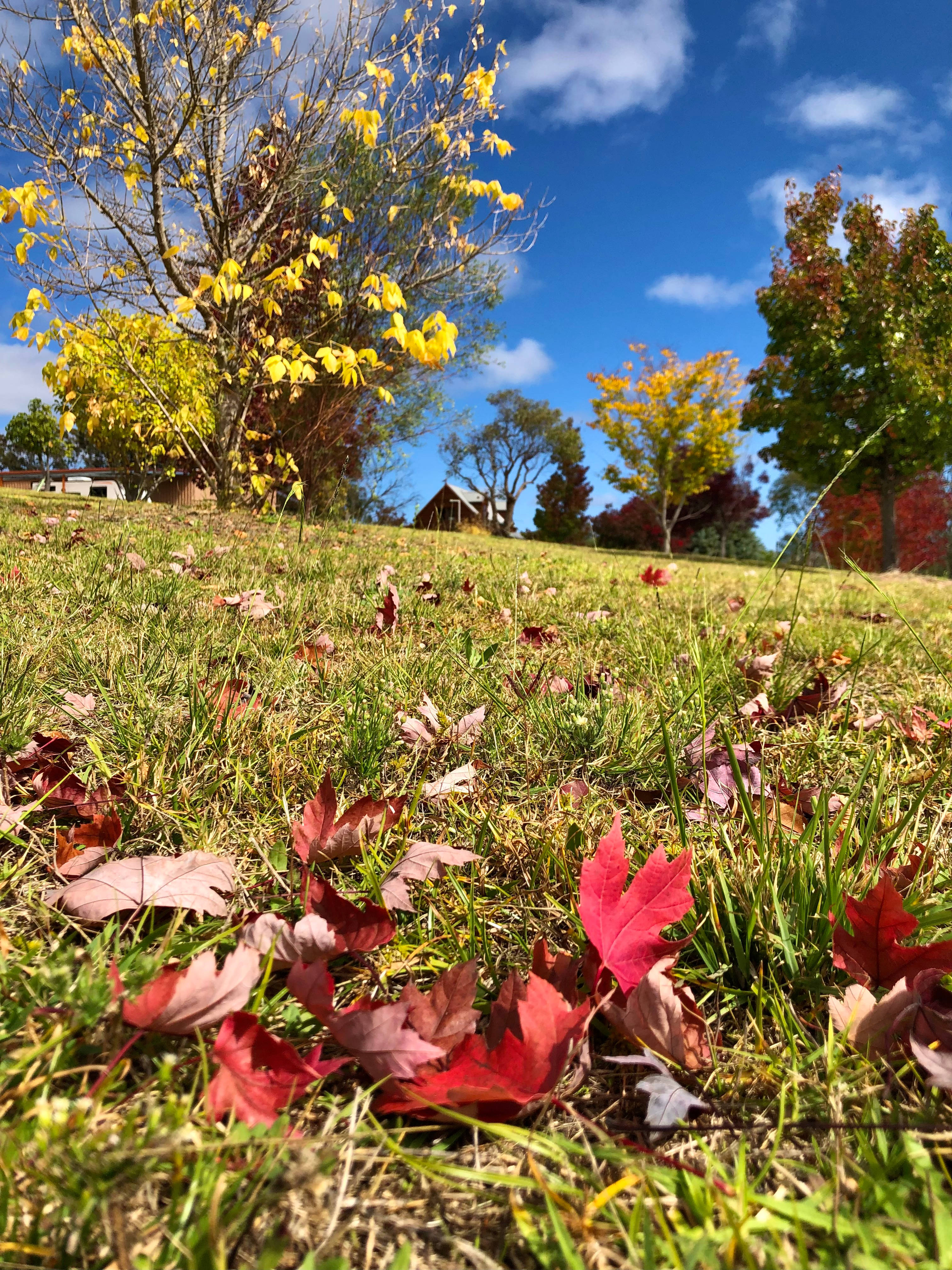 Loft Haven Meadows @ Girraween
