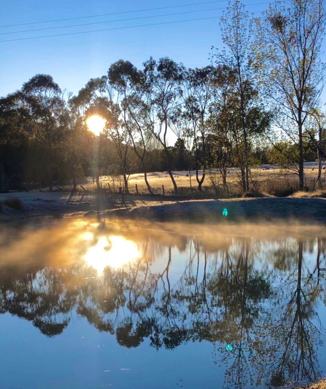 Loft Haven Meadows @ Girraween