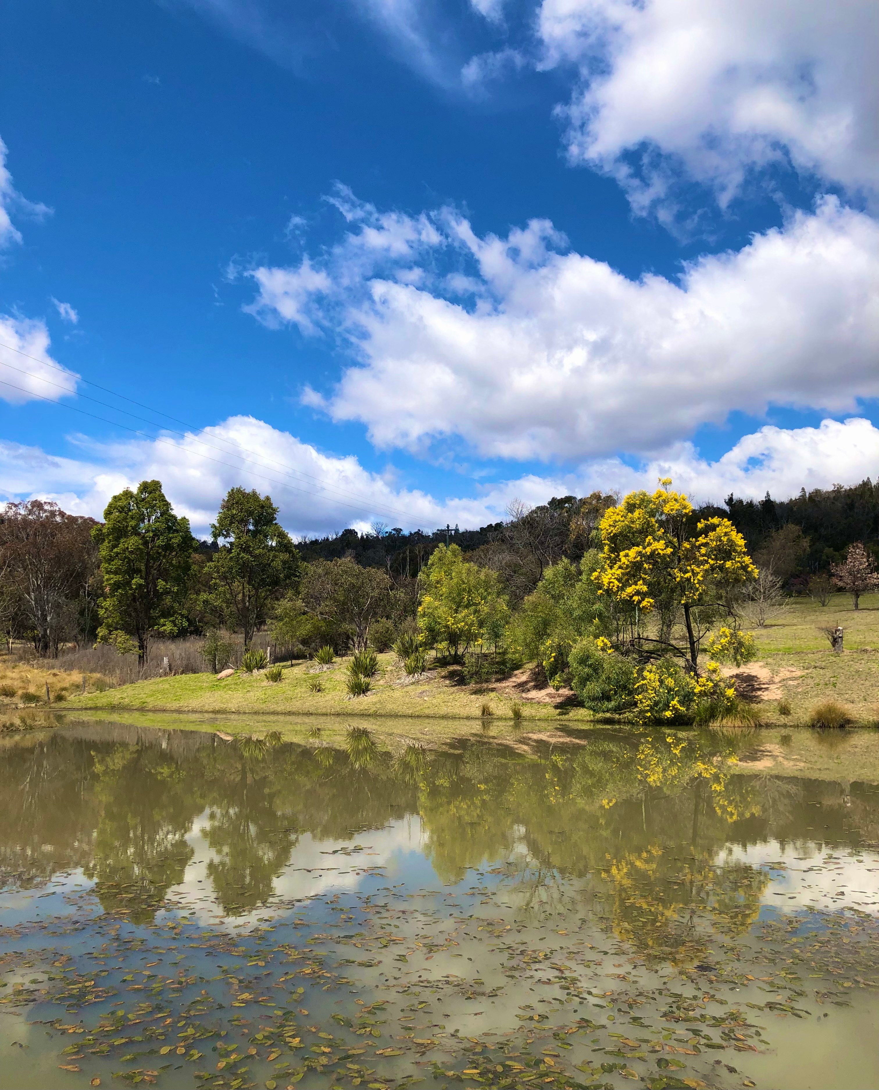 Loft Haven Meadows @ Girraween