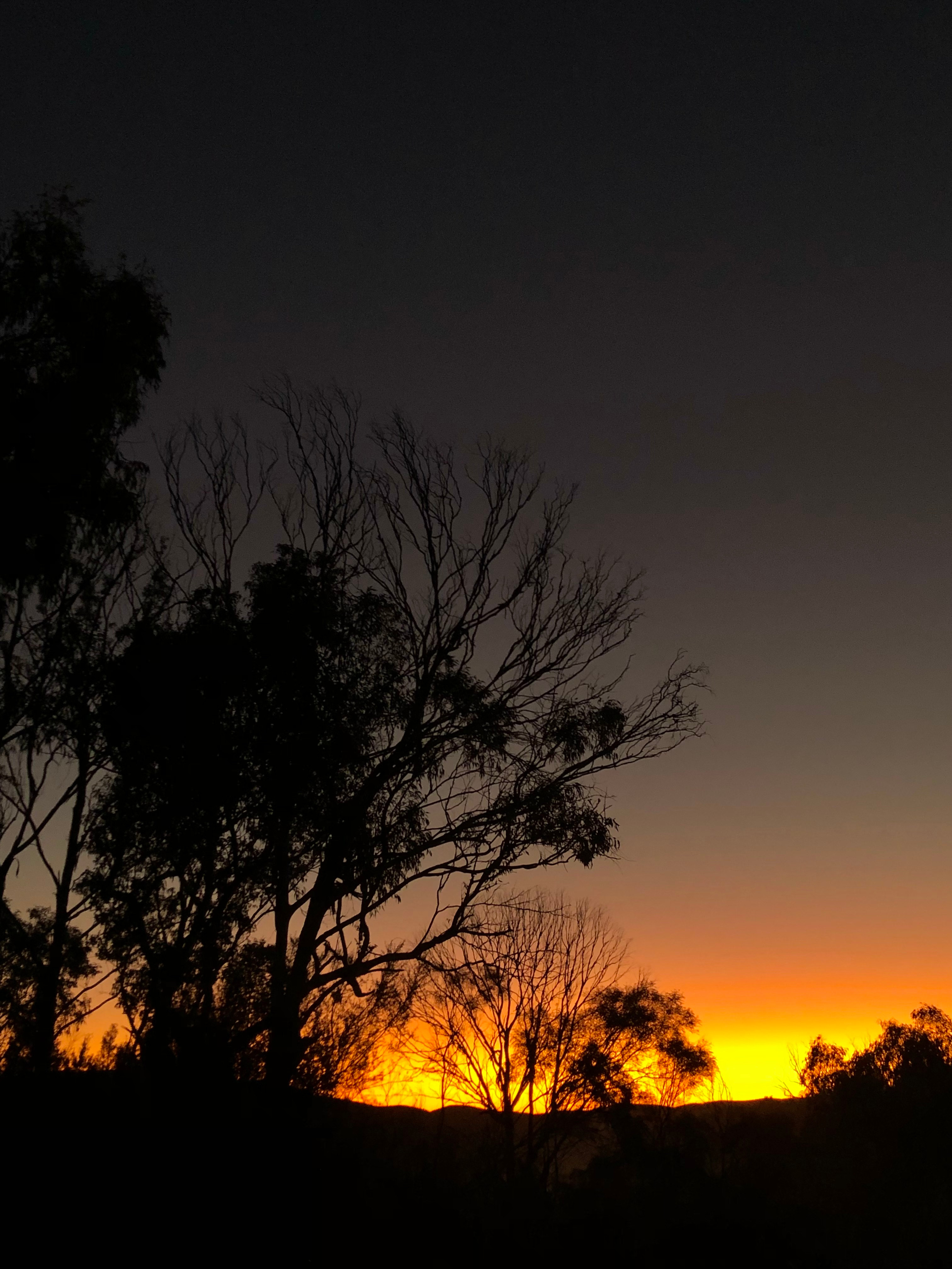 Loft Haven Meadows @ Girraween