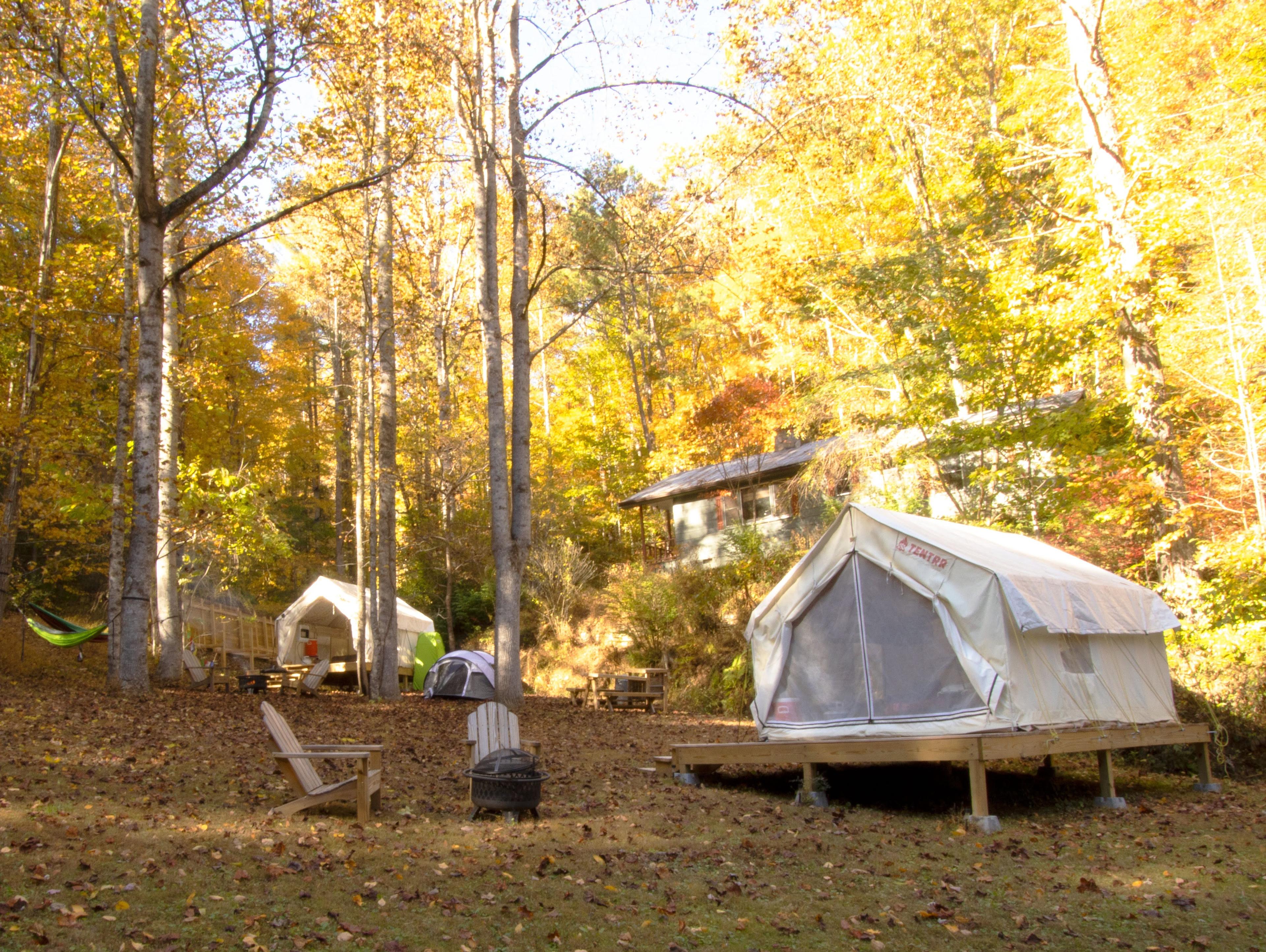 Wild at Heart Sanctuary