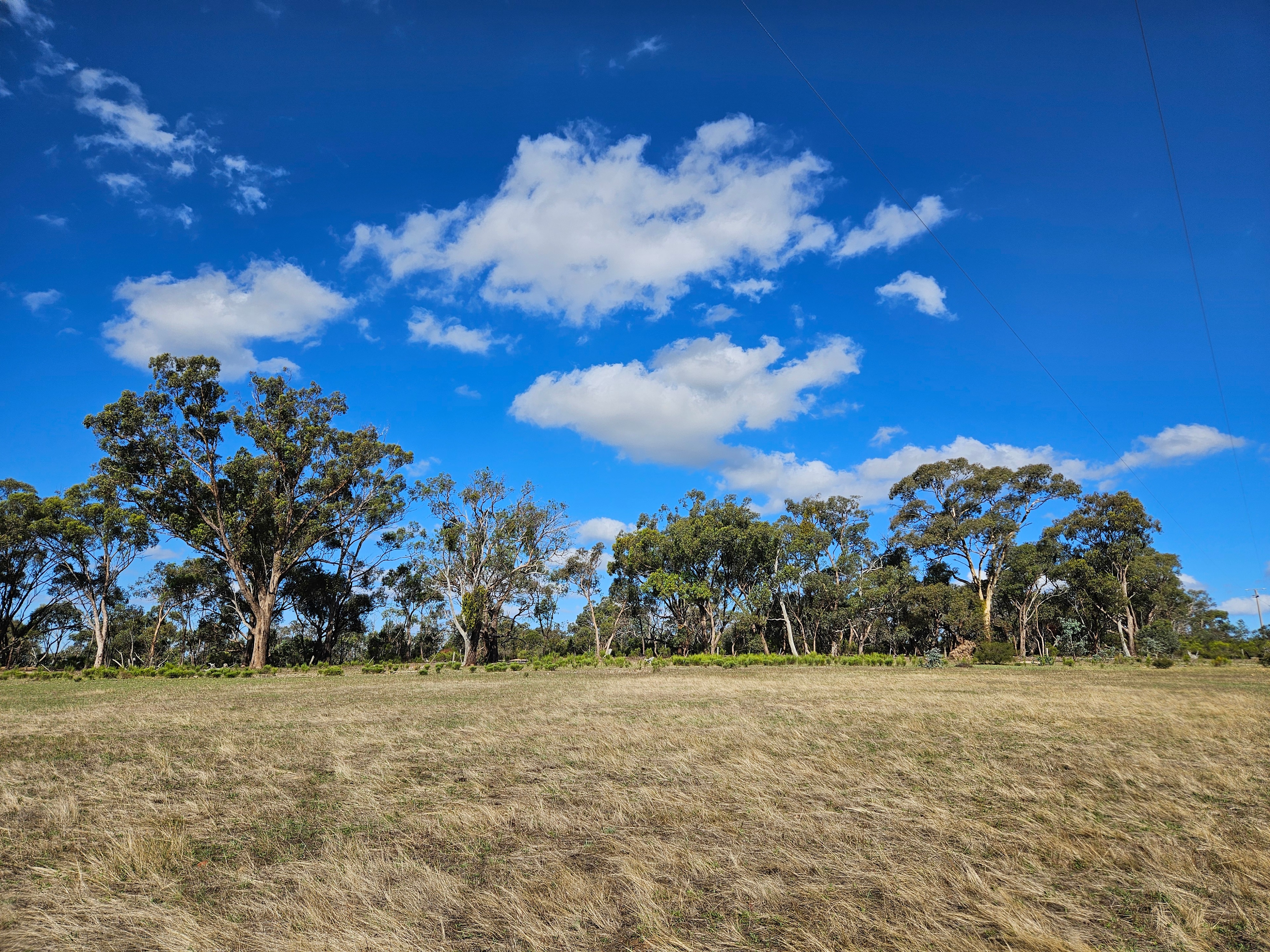 Somerville Park   (Bendigo)