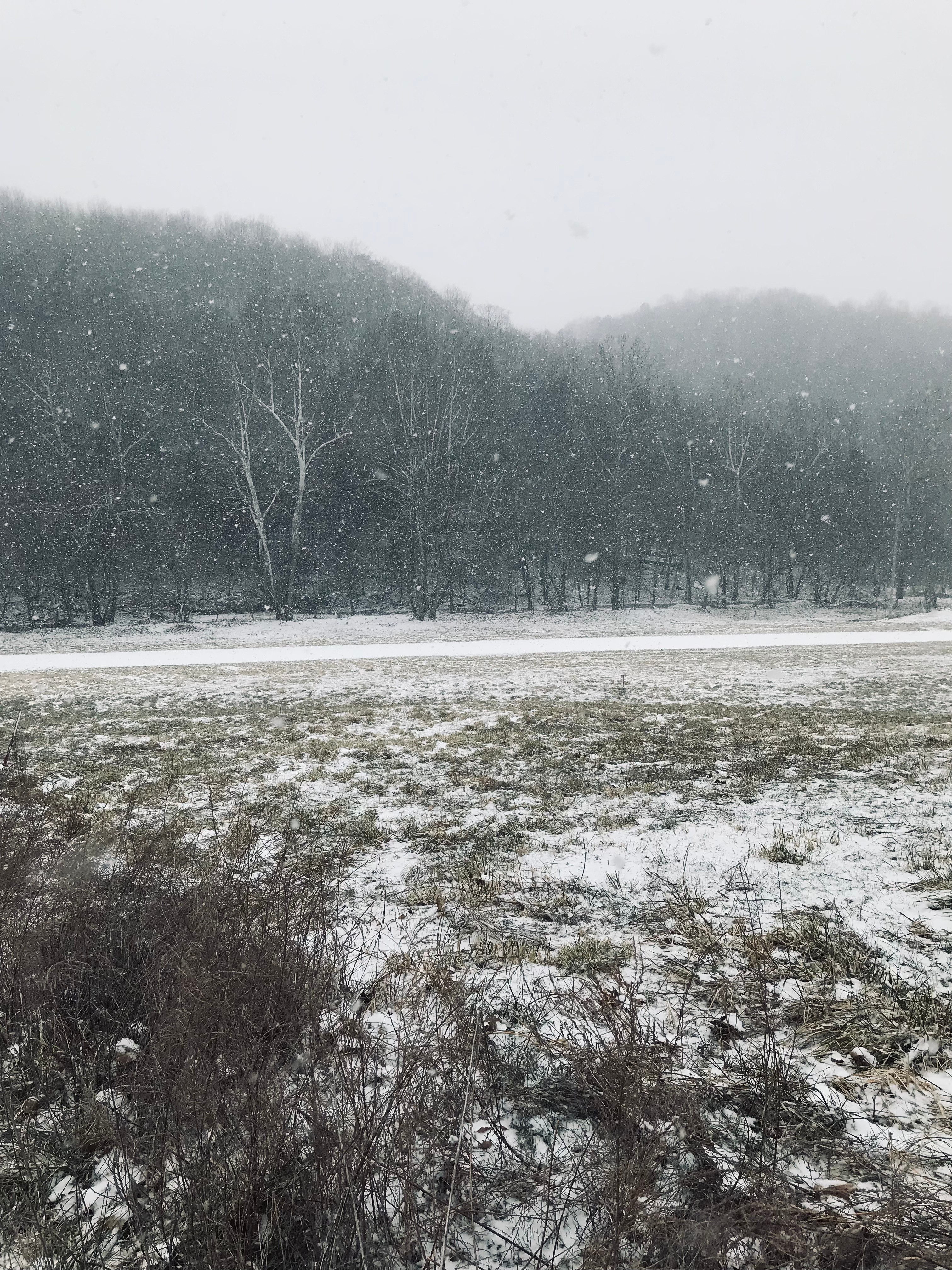 The View at Hidden Valley