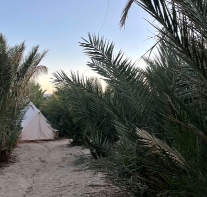 Mineral Spring Date Farm