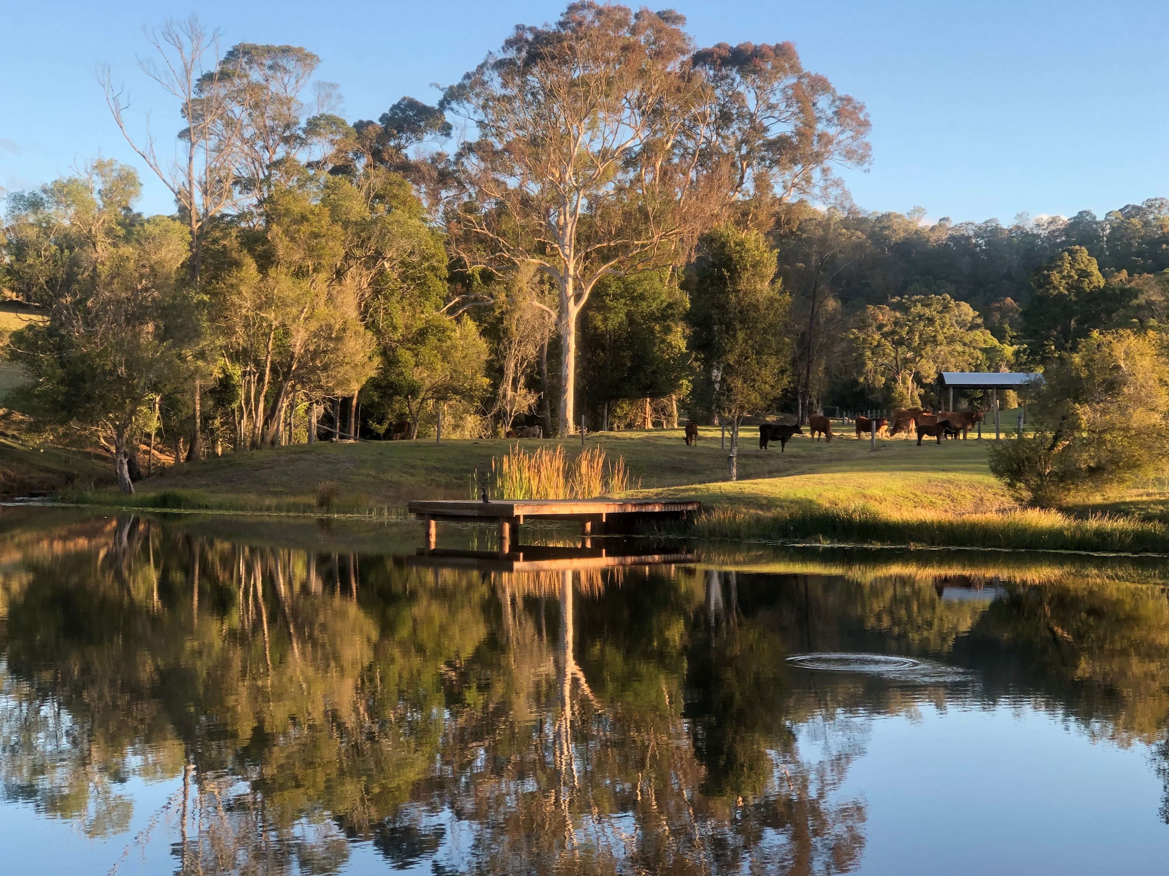 Woollahra Homestead - Farm Stay