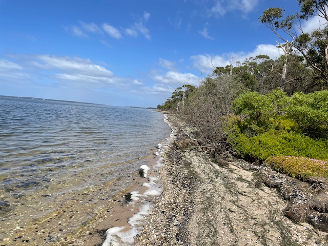 Raymond Island Retreat