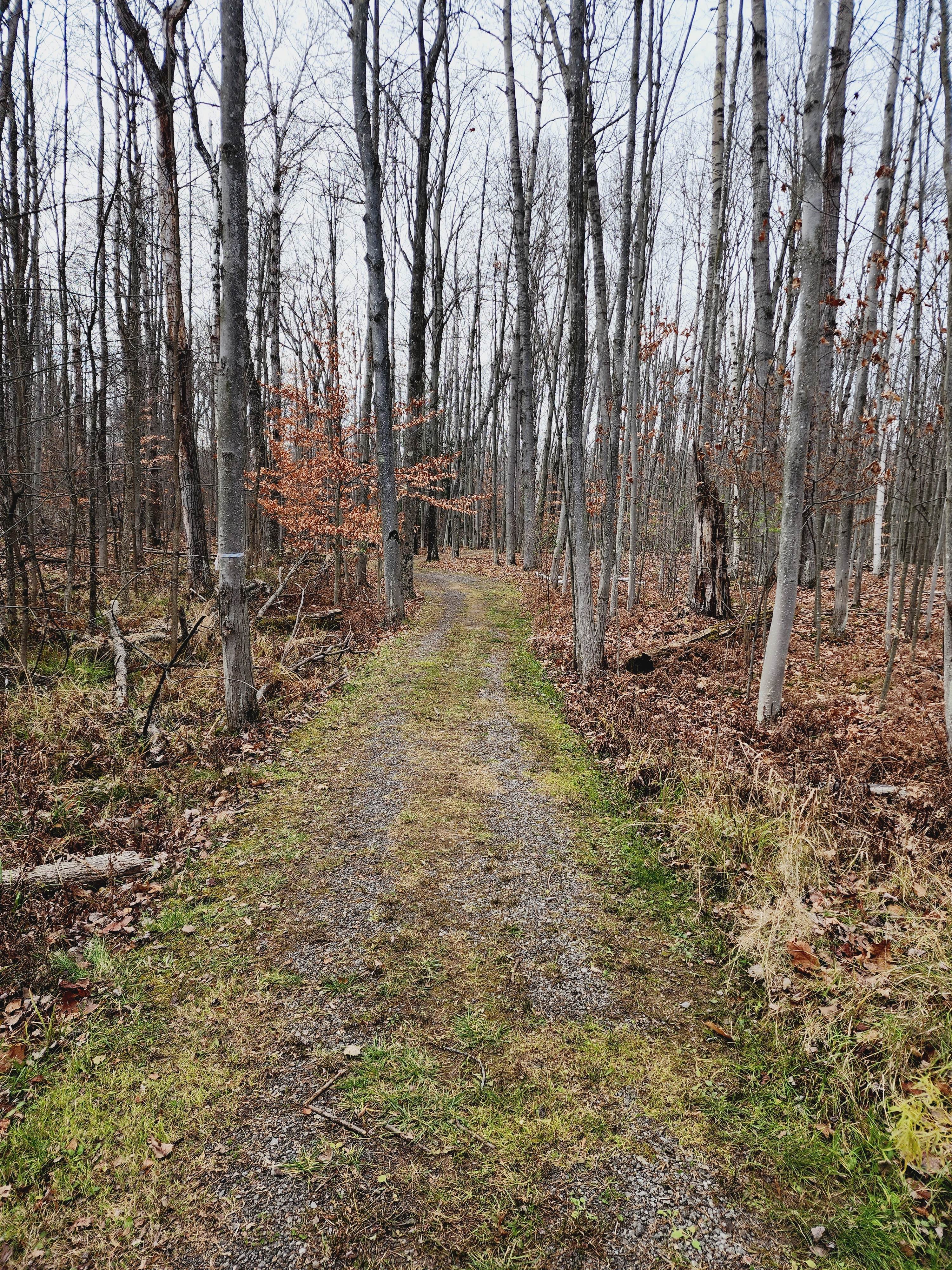 Wixom Lake RV Lot, on Anderson Dr.
