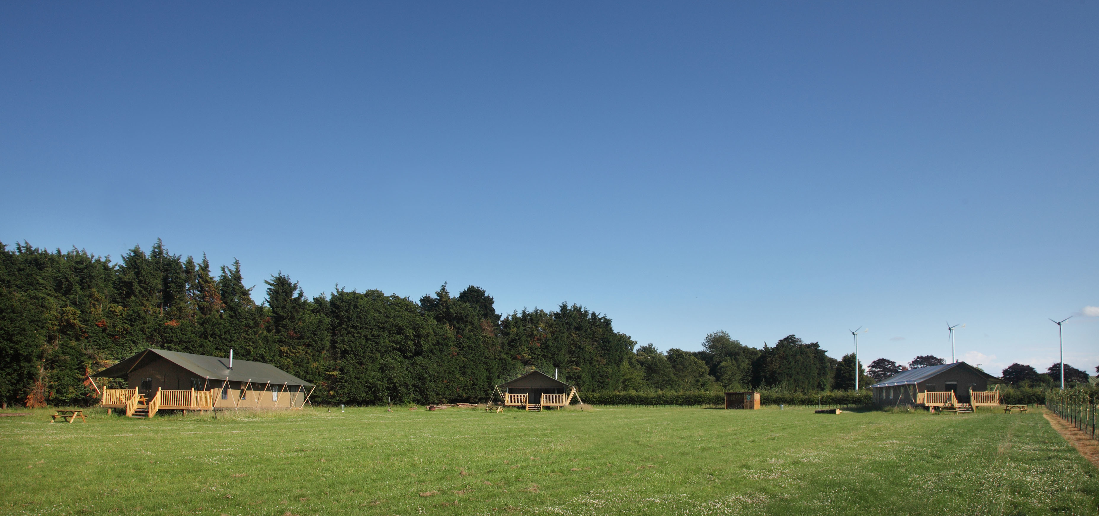 Wild Luxury - Drove Orchards