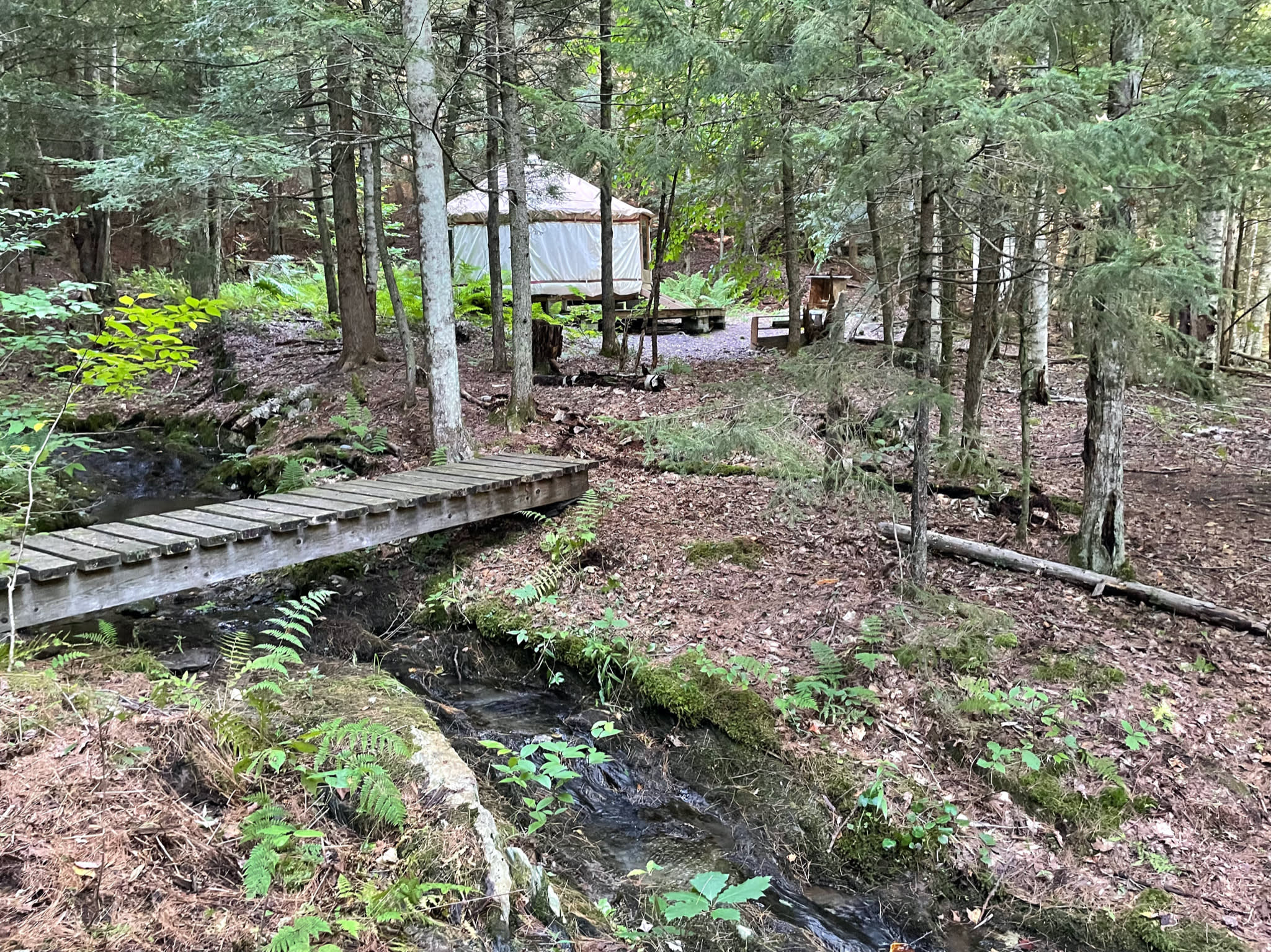 Footbridge leading over the brook to the yurt.