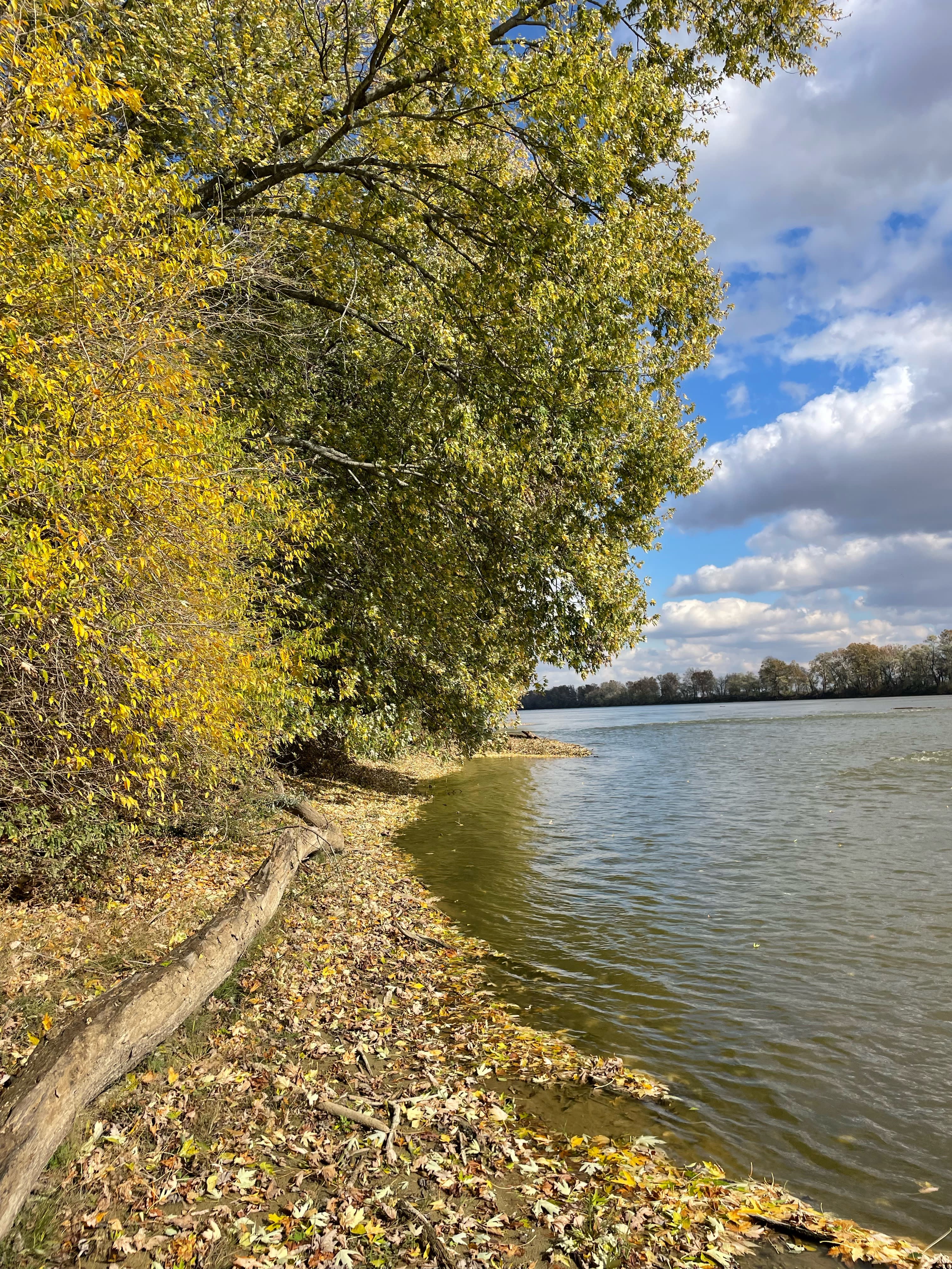 River bank