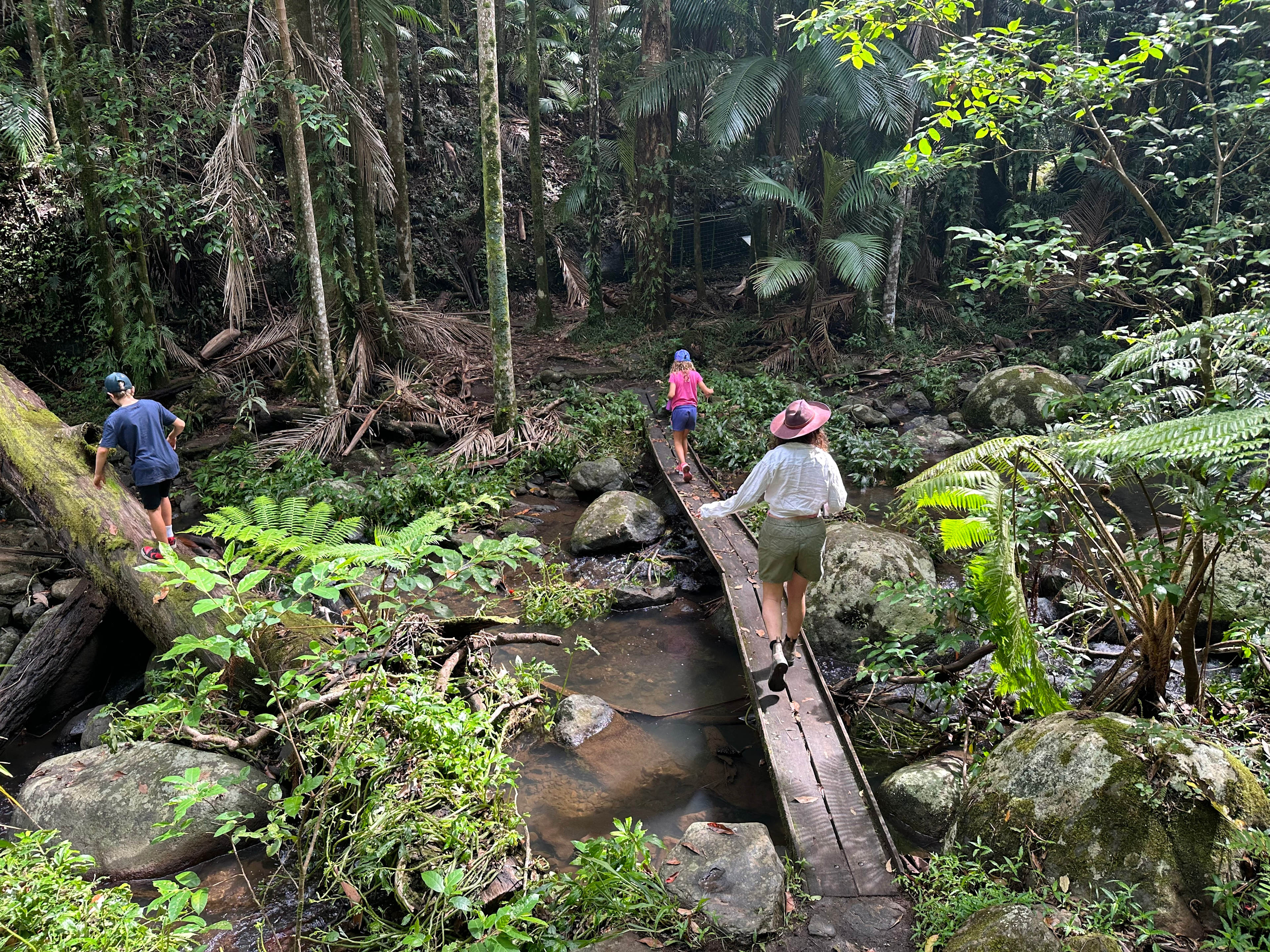Bower Camp Co. - Border Ranges