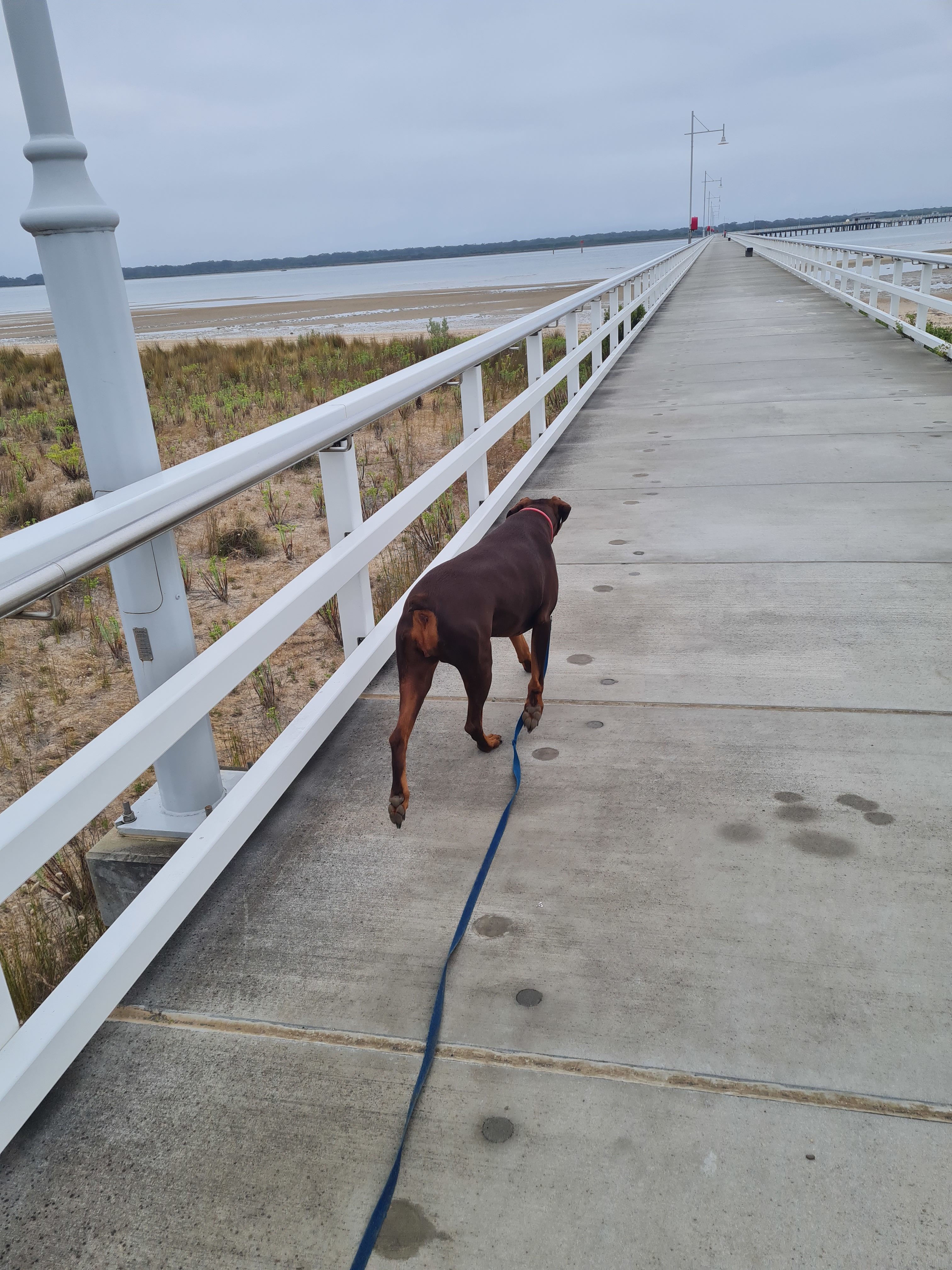 BIG4 Long Jetty Caravan Park