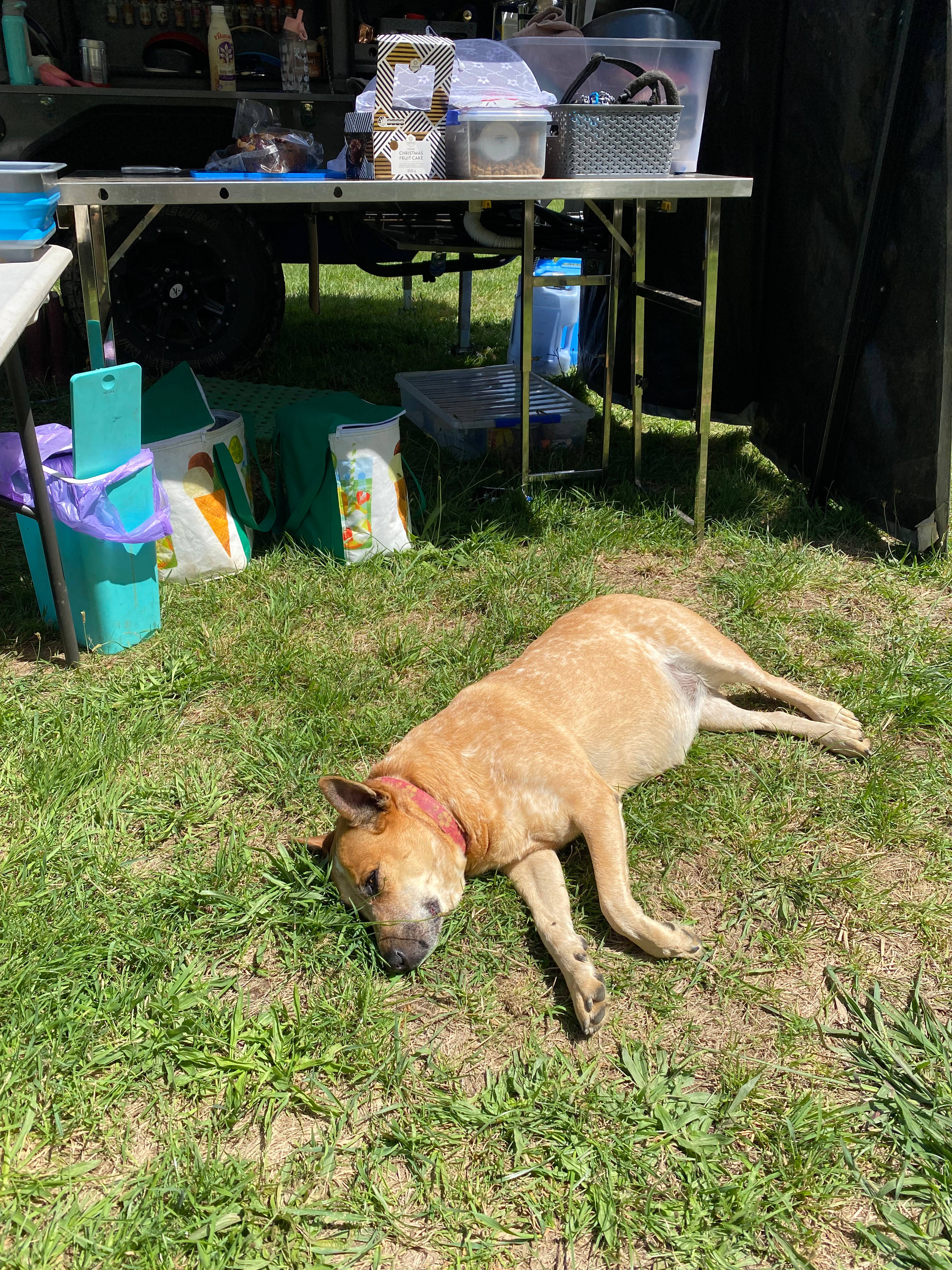 Strath Creek Station