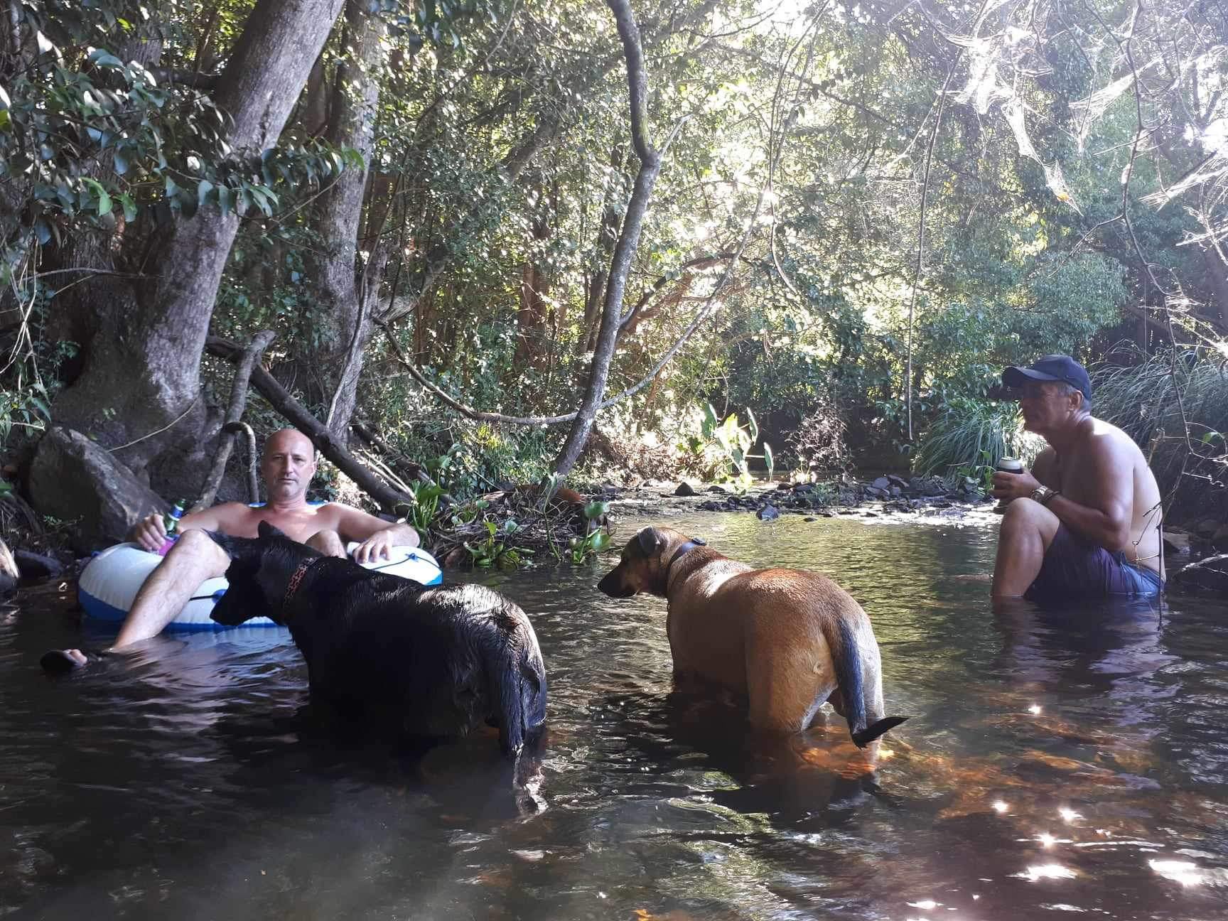 Creek Edge, Macadamia Farm