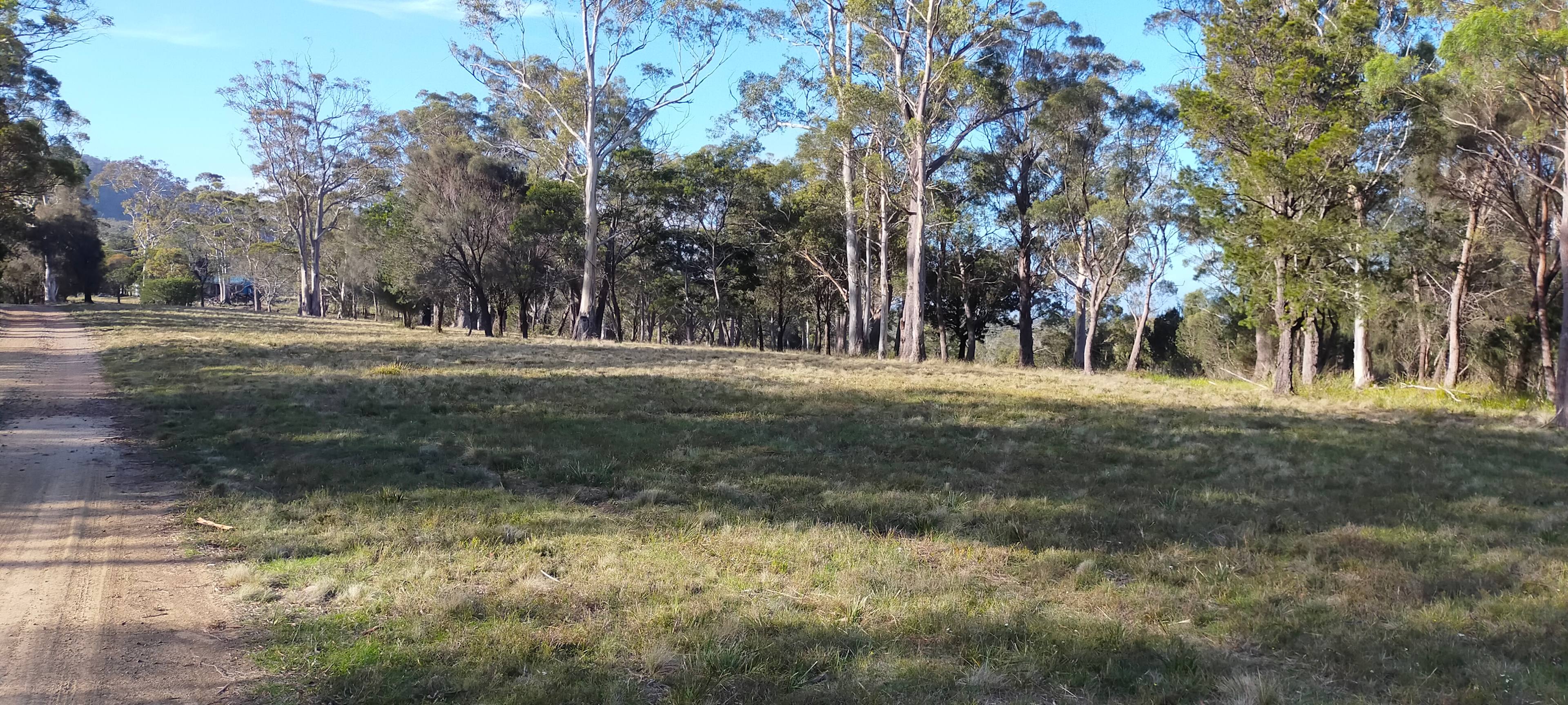 Bicheno Pine Ridge