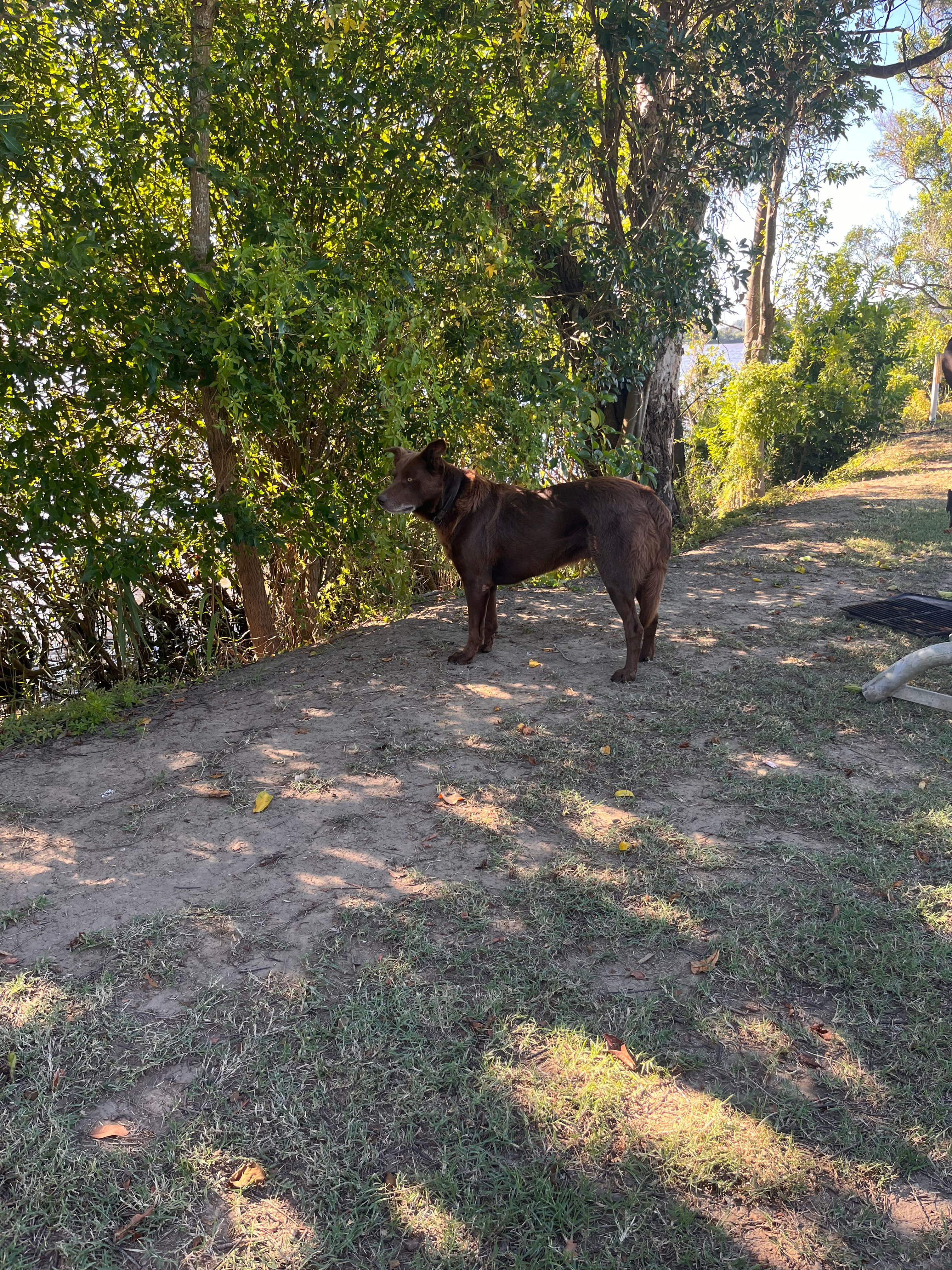 River Views - Island Paradise