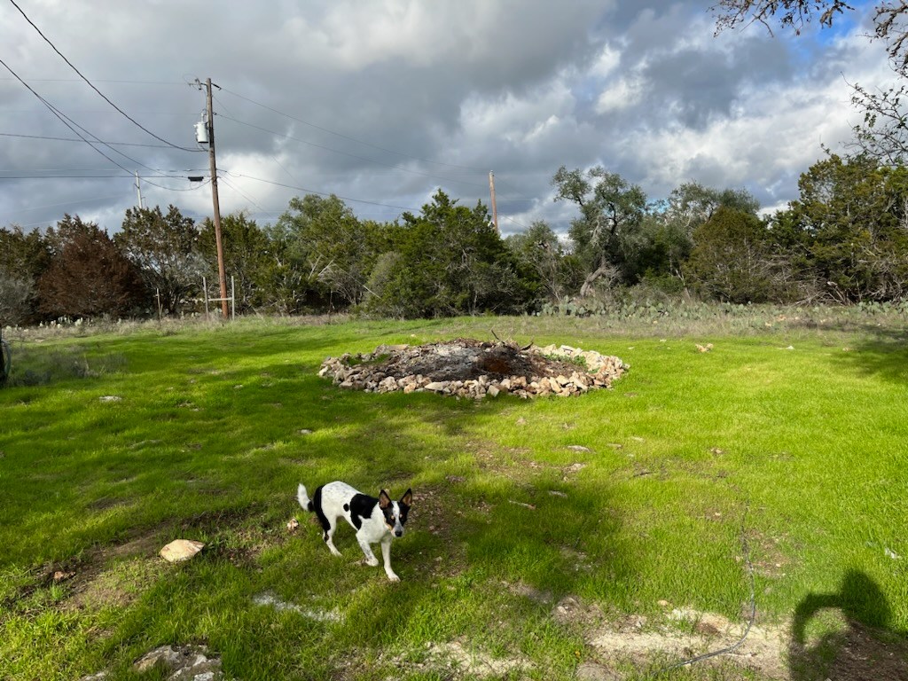 Lavender Sound Homestead