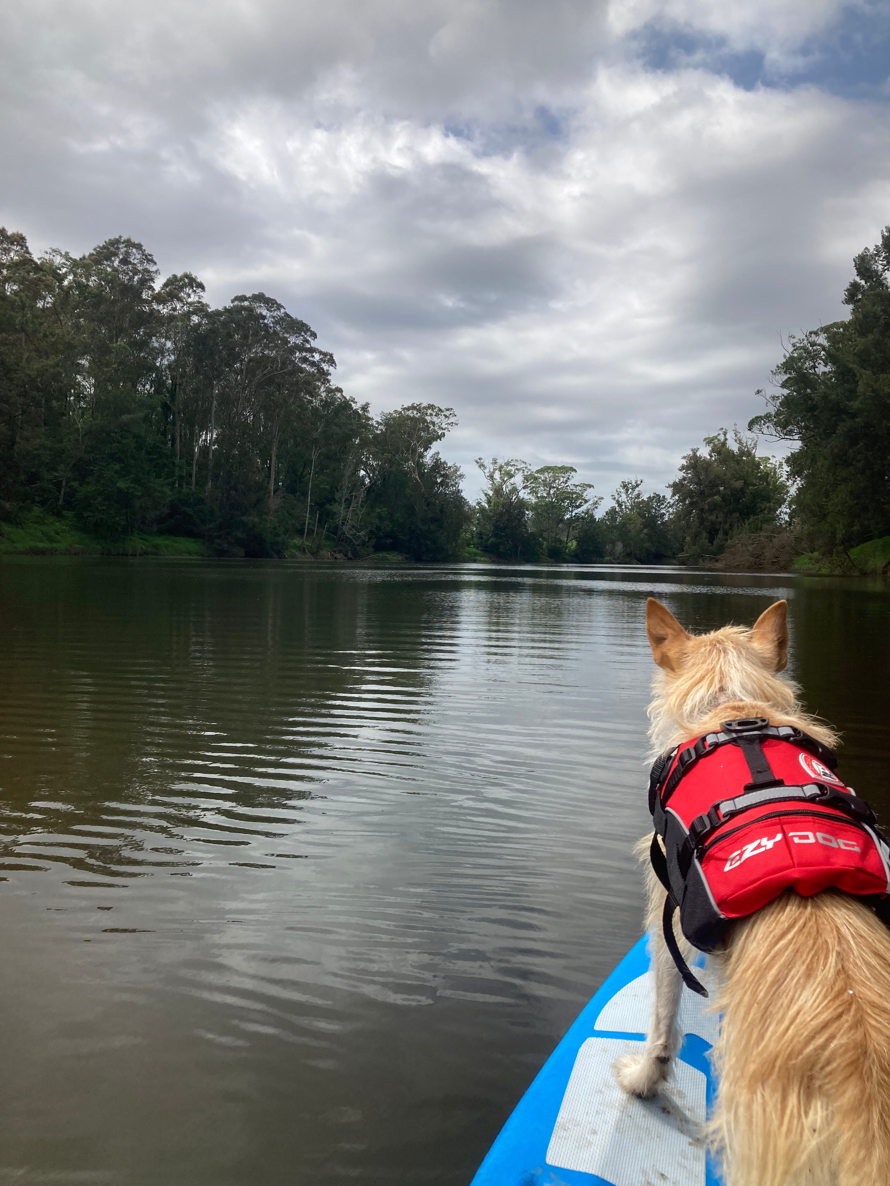 Riverview Farm, Bodalla