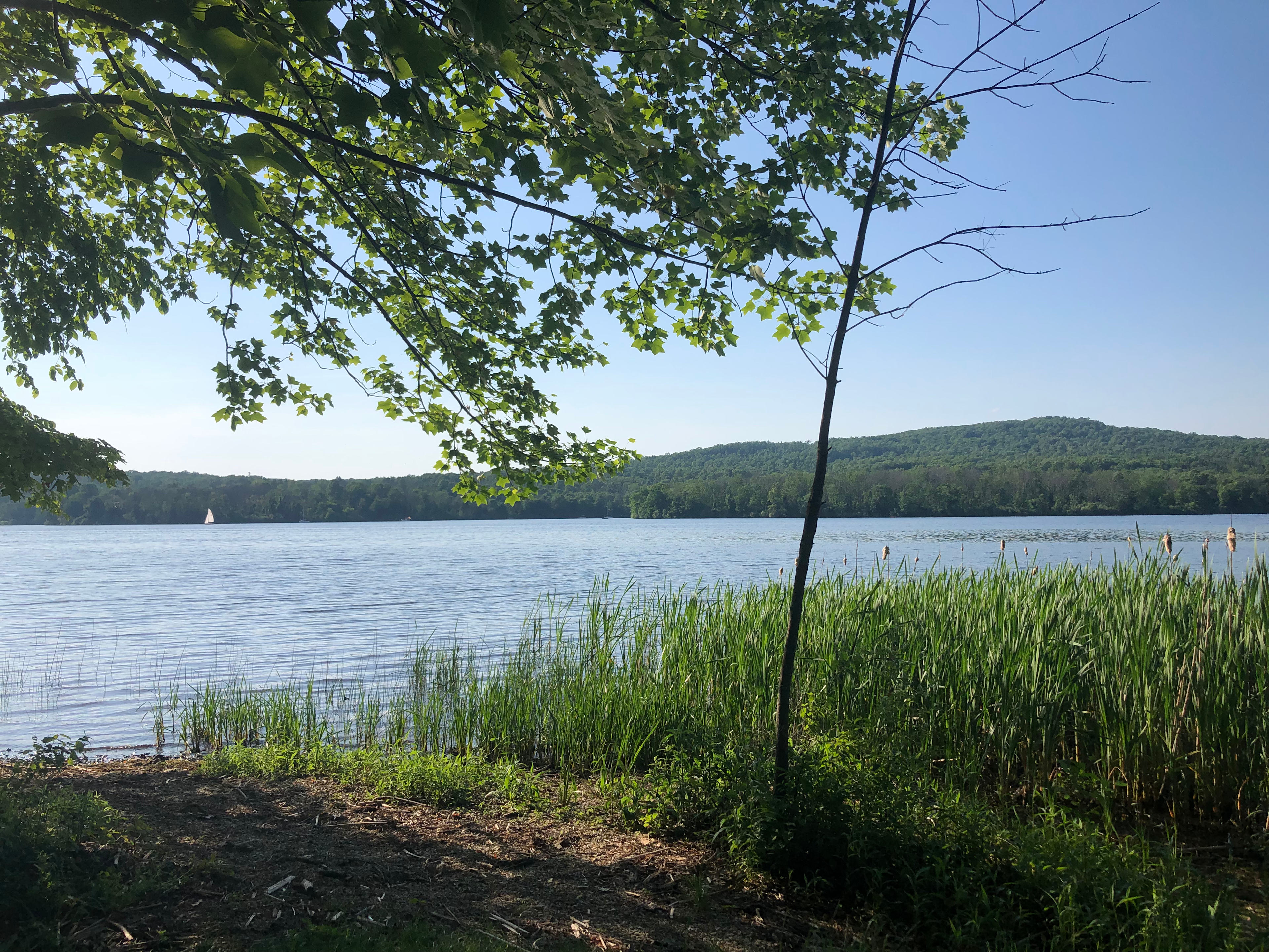 Nockamixon State Park and Haycock Mountain is a short drive from camp.