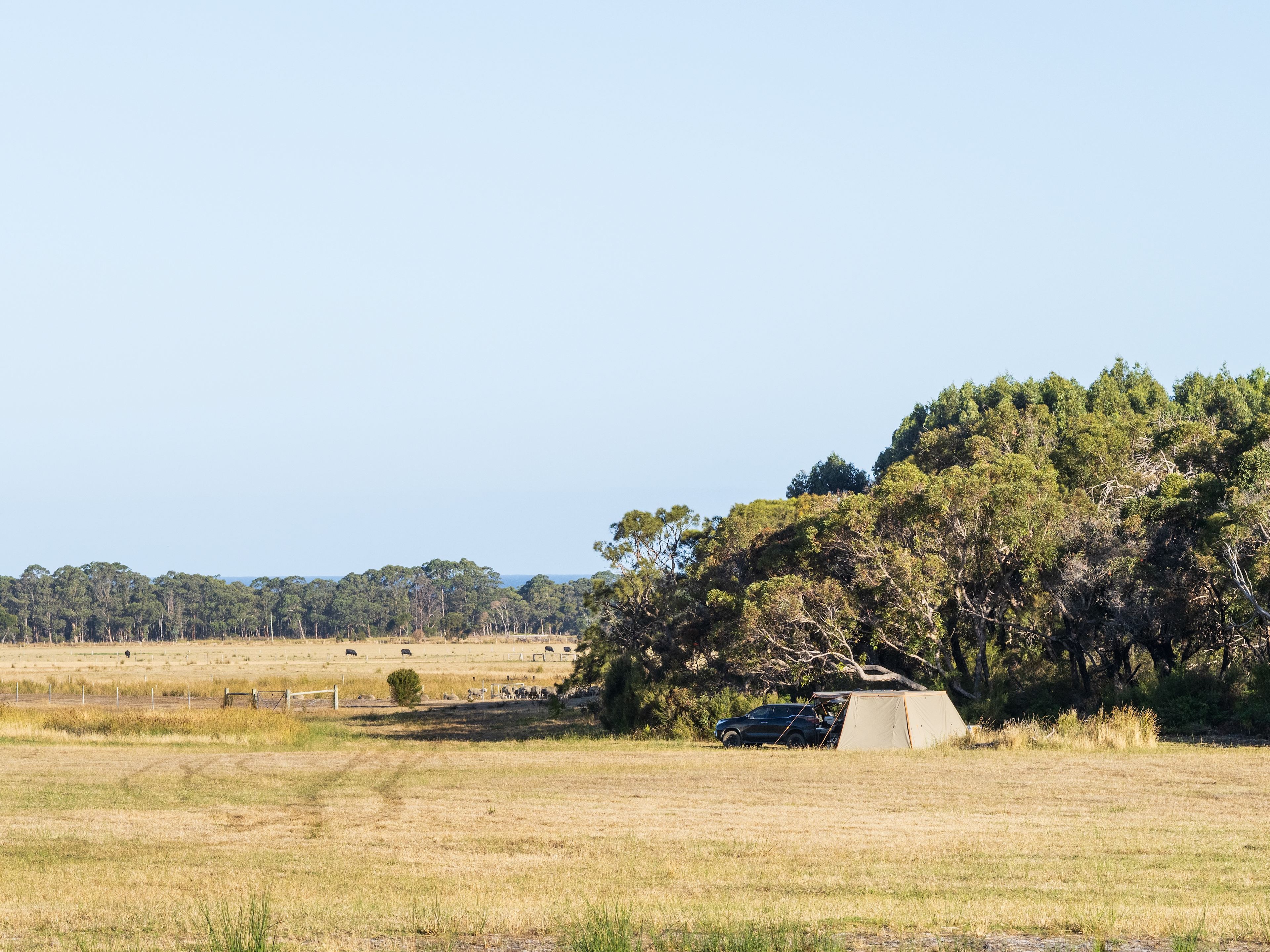Our site was tucked in behind a stand of trees, protecting us from the wind