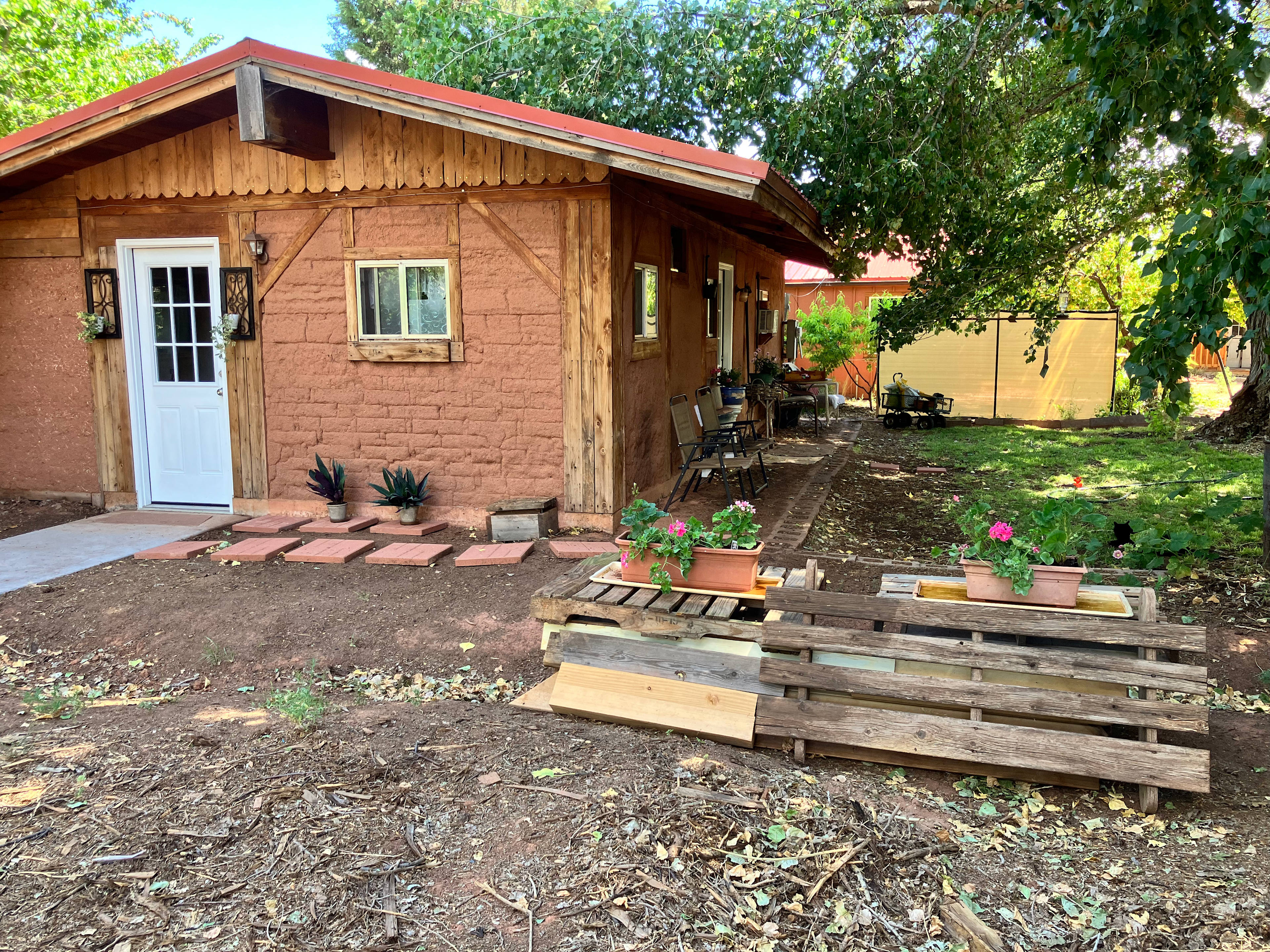 Desert Oasis Near Zion