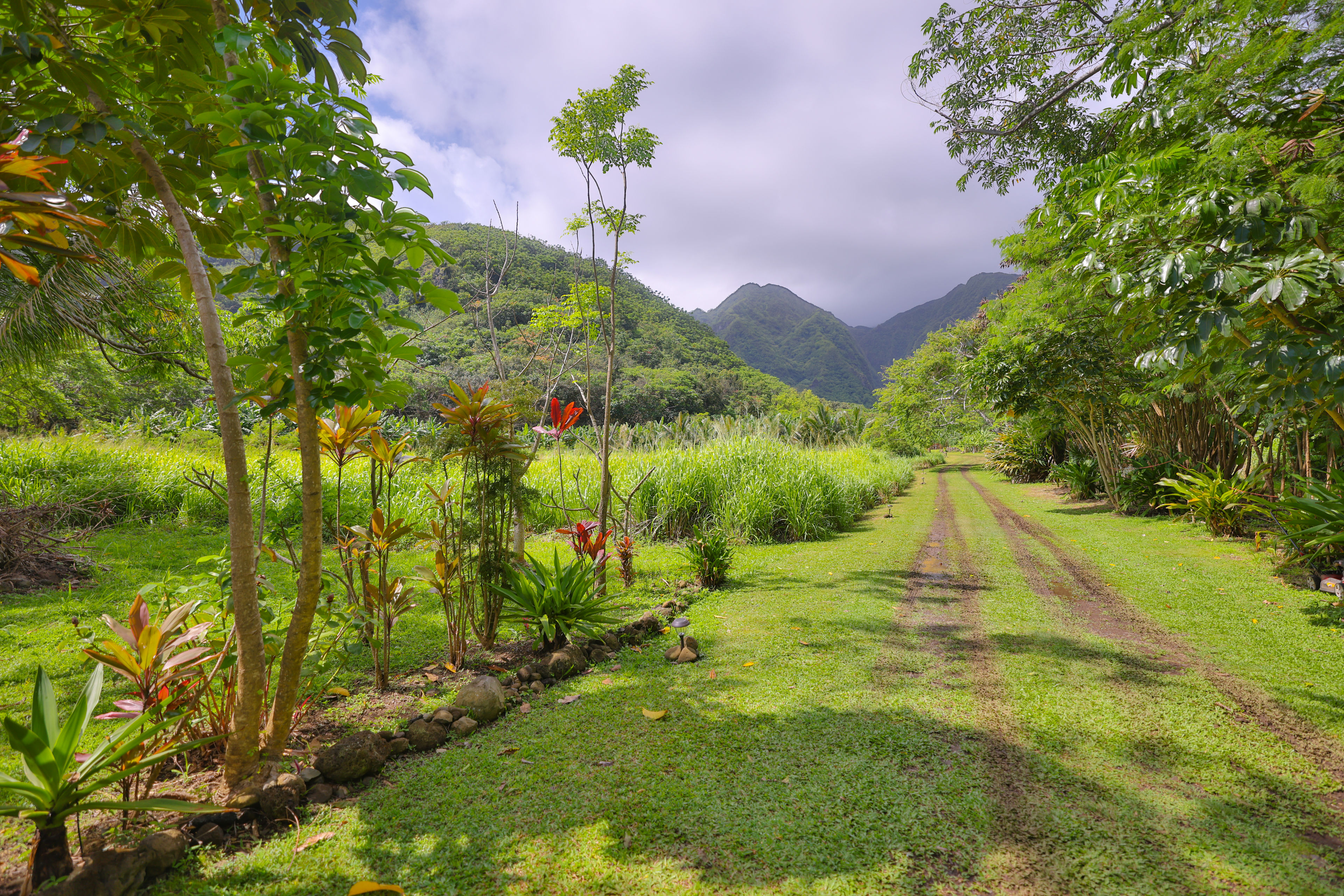 Malama Aina Retreat - Oahu
