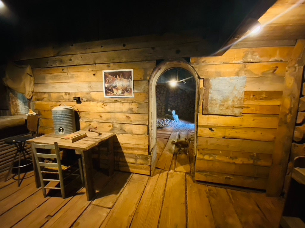 Inside the Log Cabin built for $7, one of our accommodations at Sams Town.