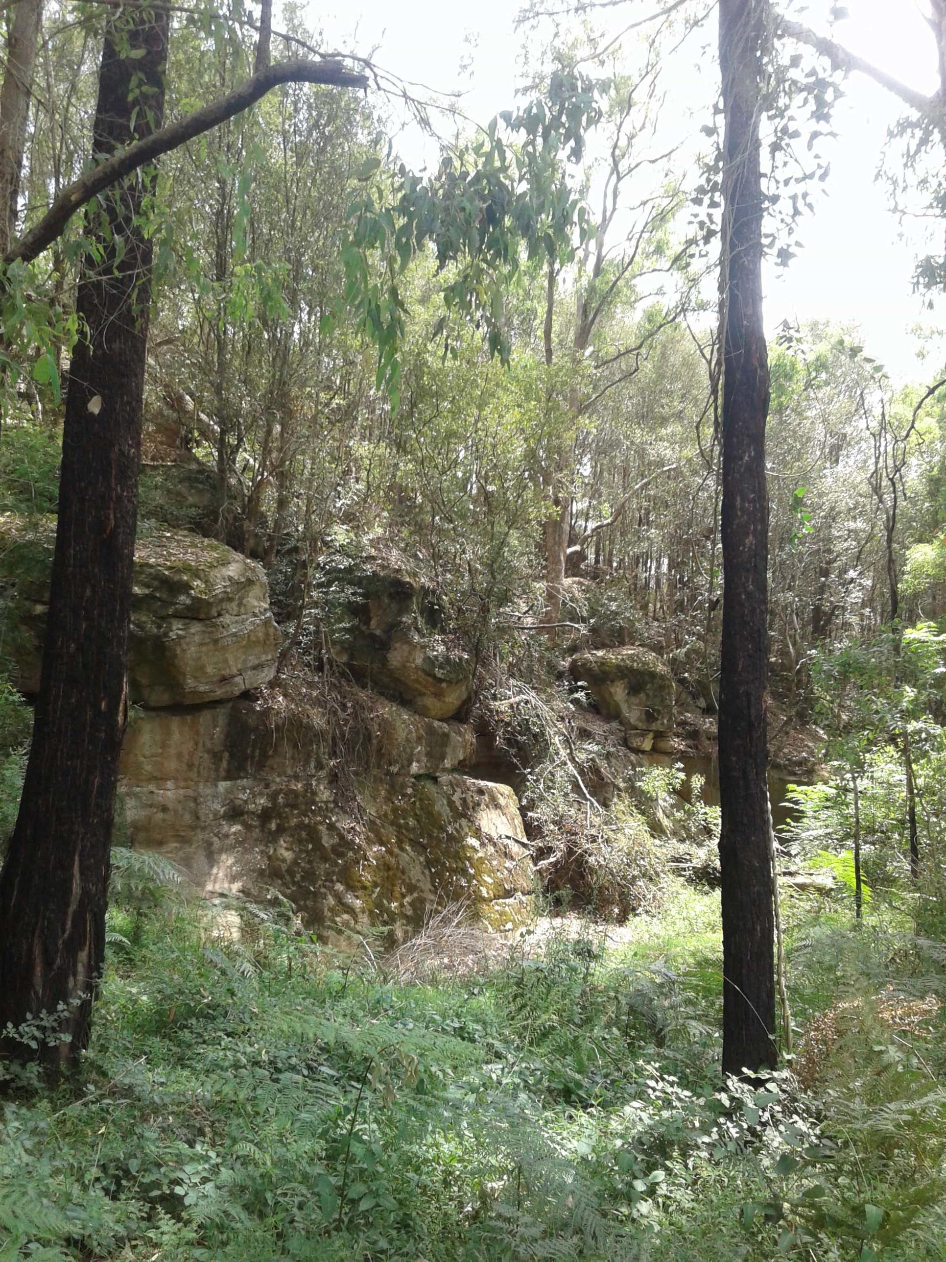 Wollombi Private Earthways camp