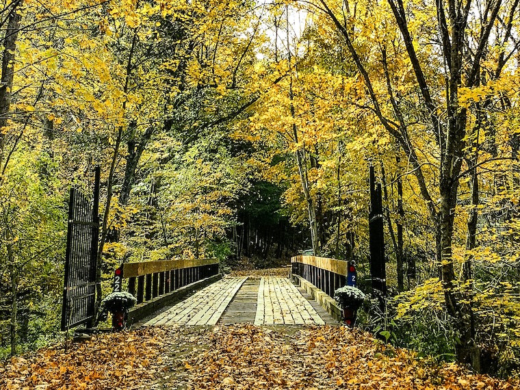 Hucklebuck Railway Campsites