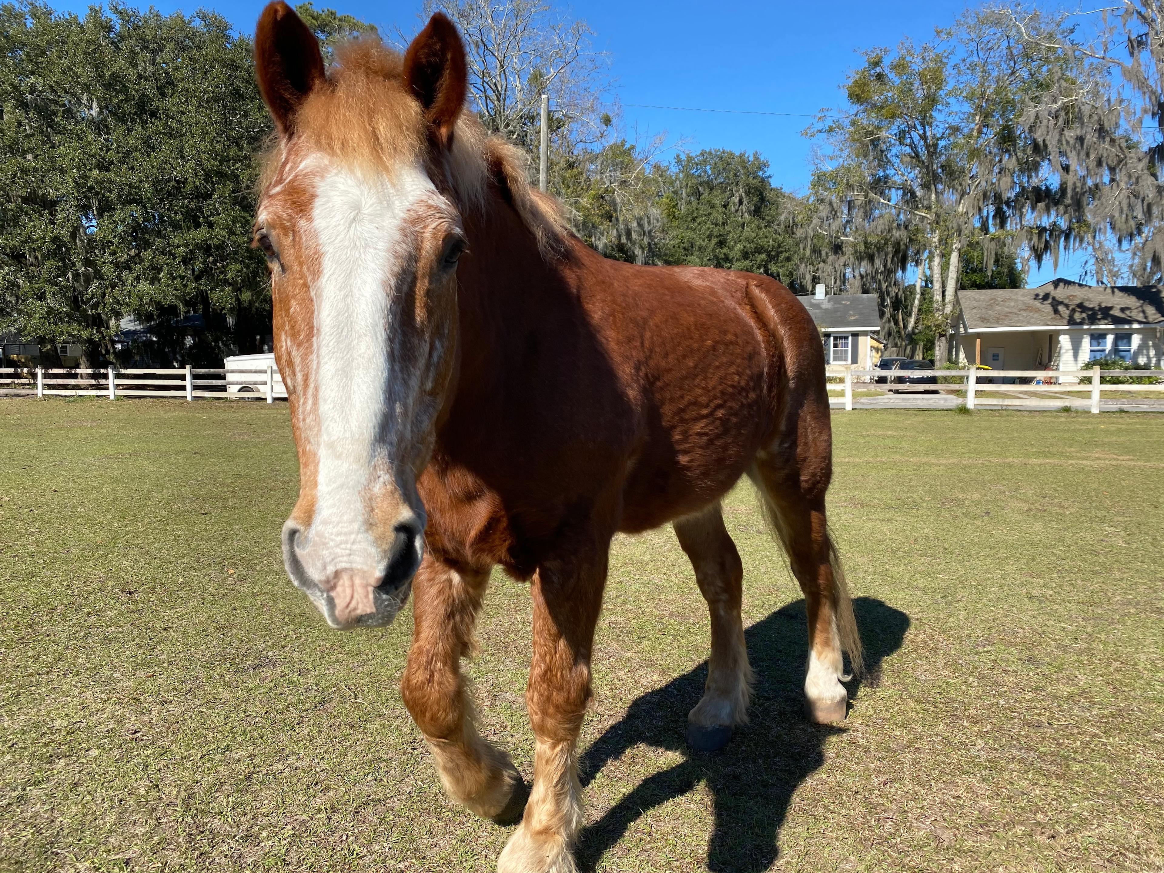 Glam Camp At The Old Dairy