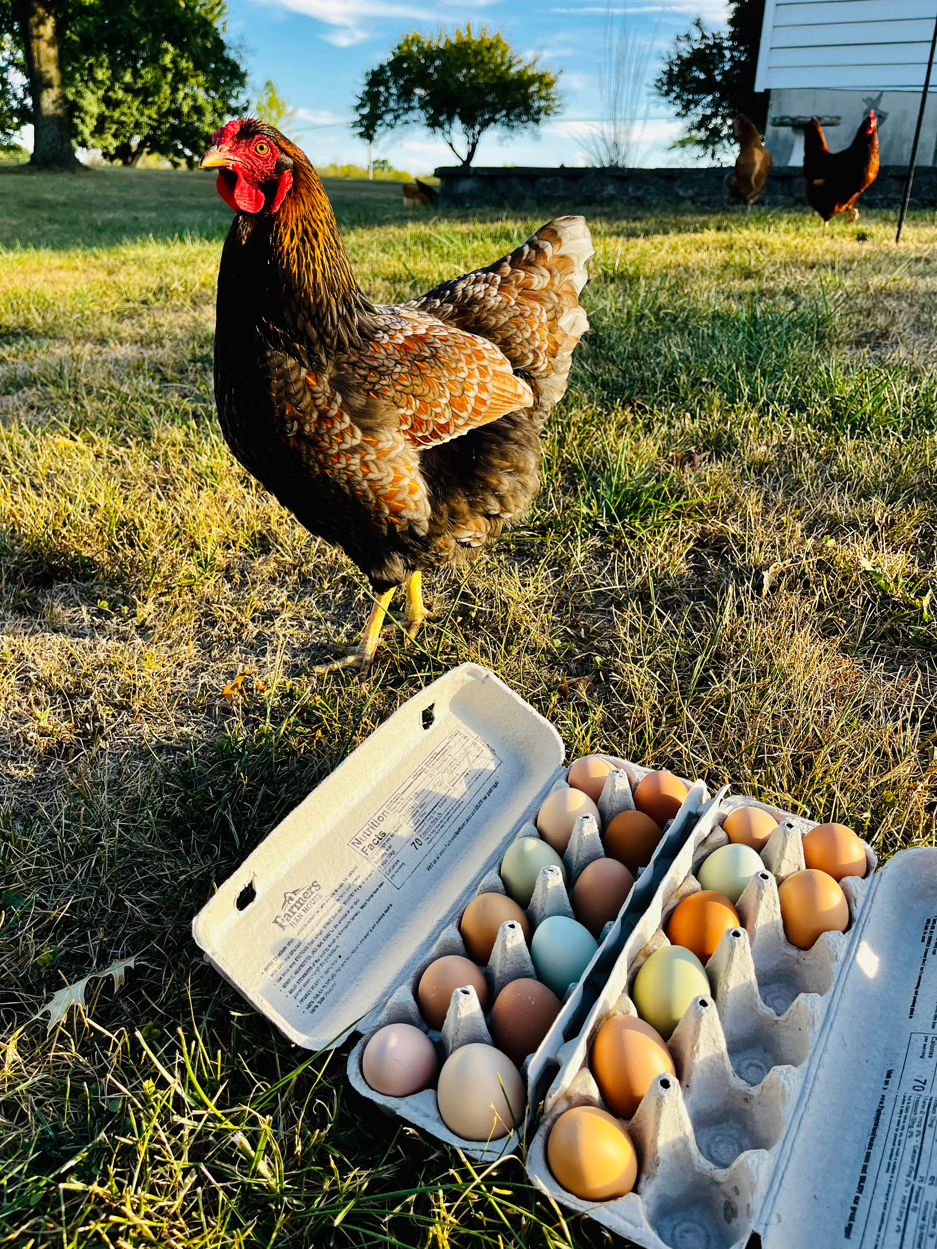 Farm Land. Full RV Hookup.