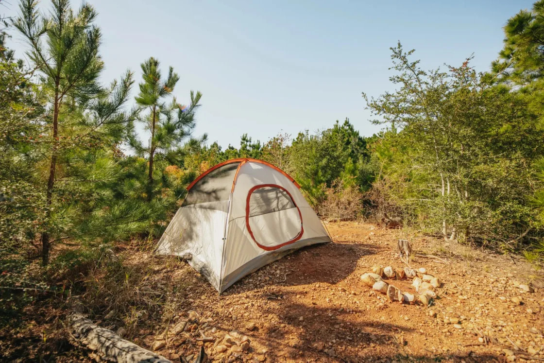 Lost Pines Camping