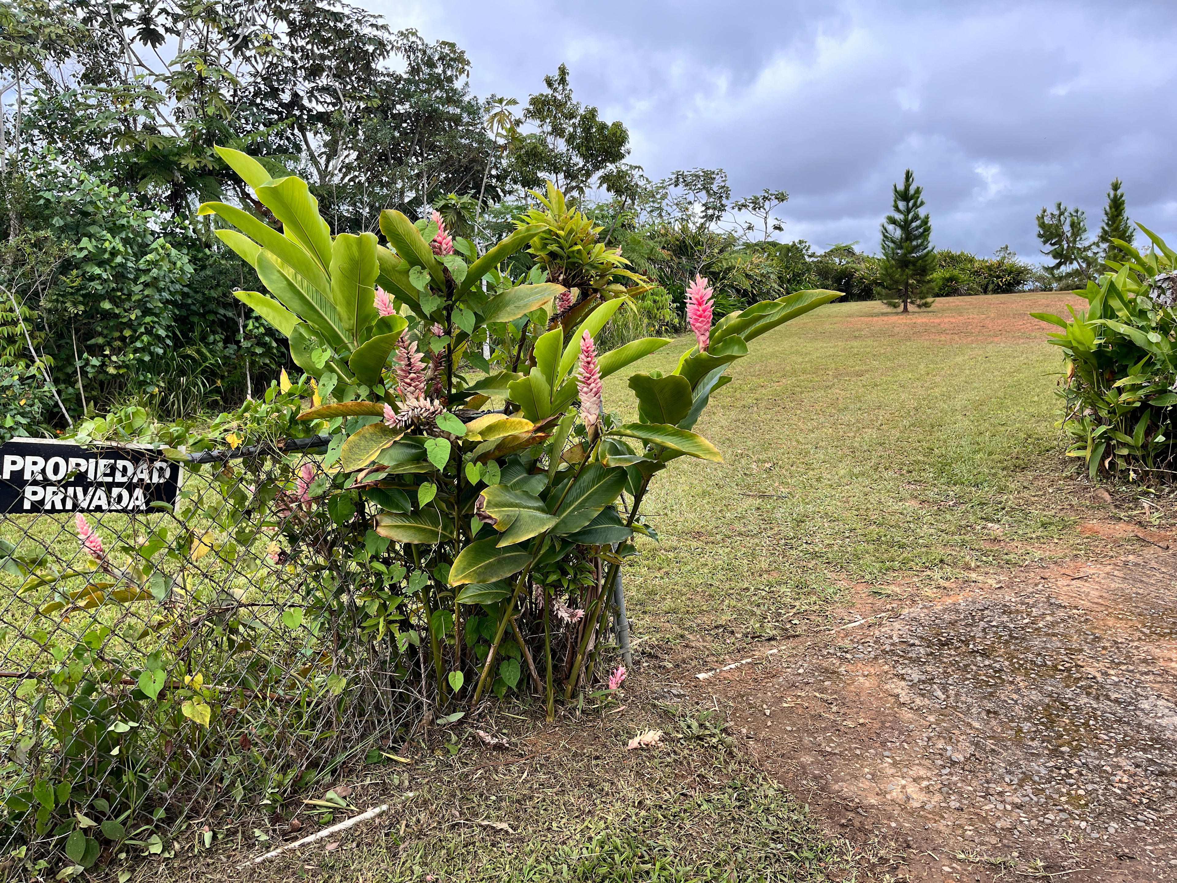 Finca Las Puertas De San Pedro