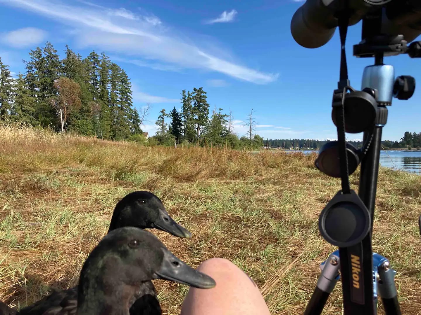 Octovus Waterfront Paradise